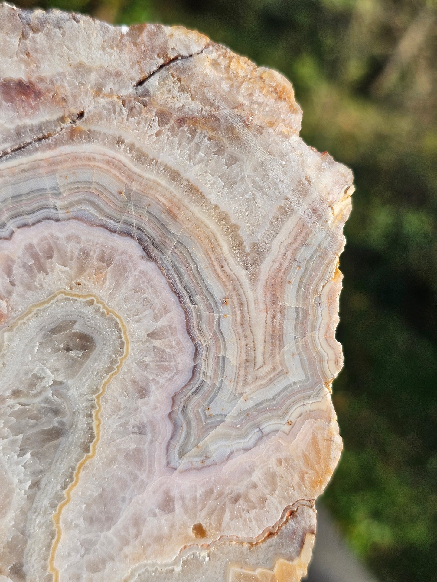 Sciage d'Agate du Tarn O