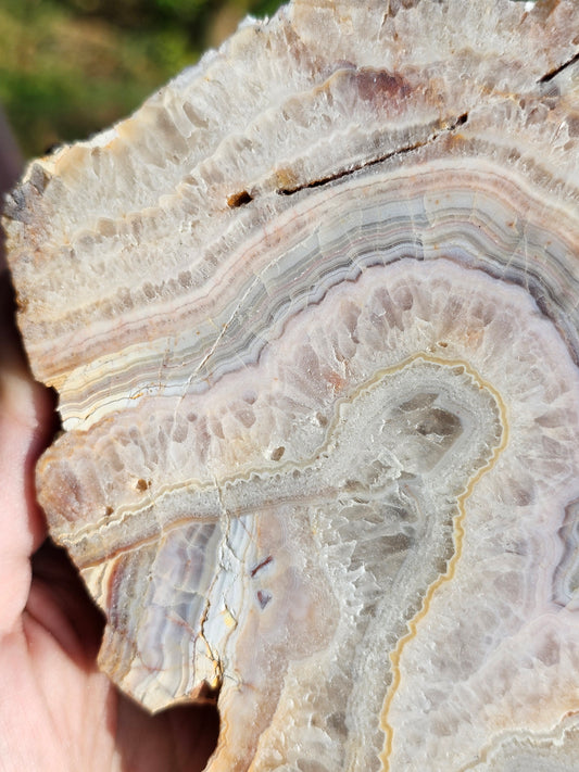 Sciage d'Agate du Tarn O