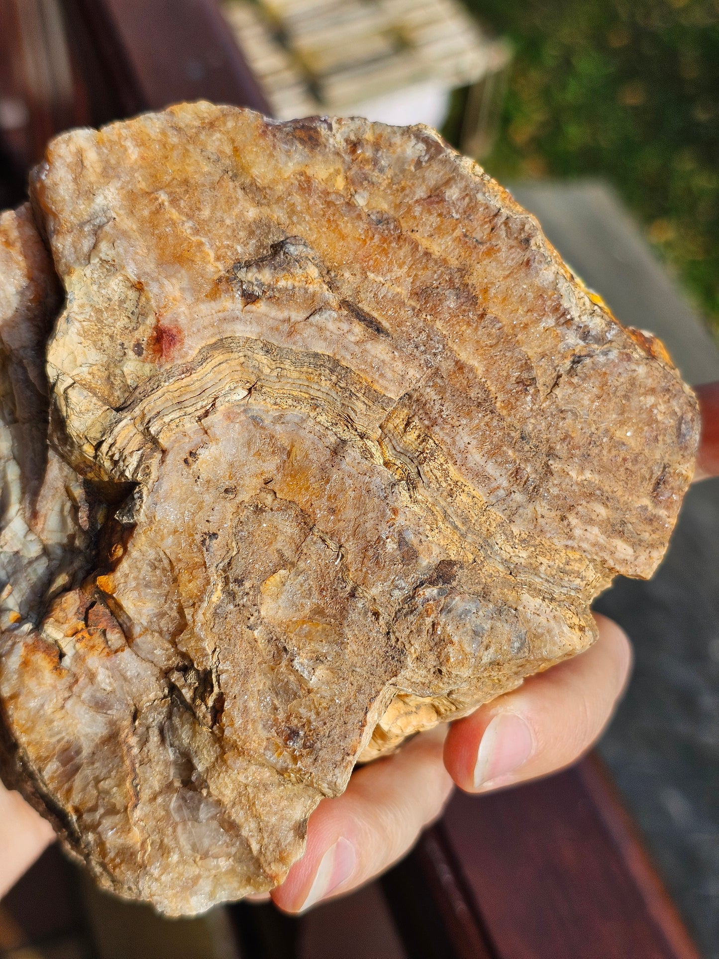 Sciage d'Agate du Tarn O