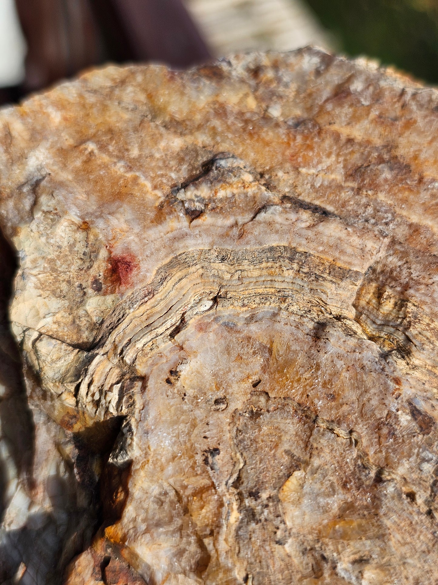 Sciage d'Agate du Tarn O