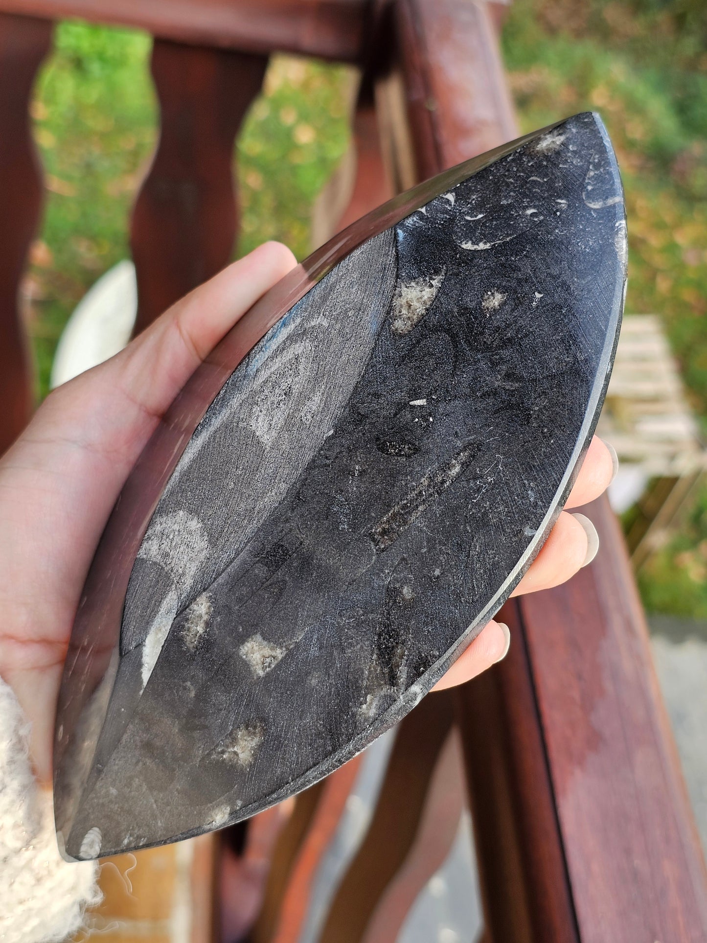 Coupelle en Orthoceras n°4