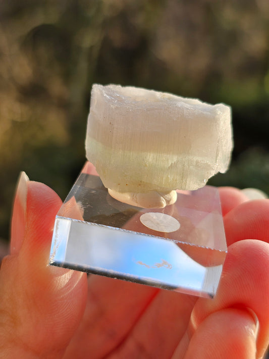 Aigue-marine et Morganite F