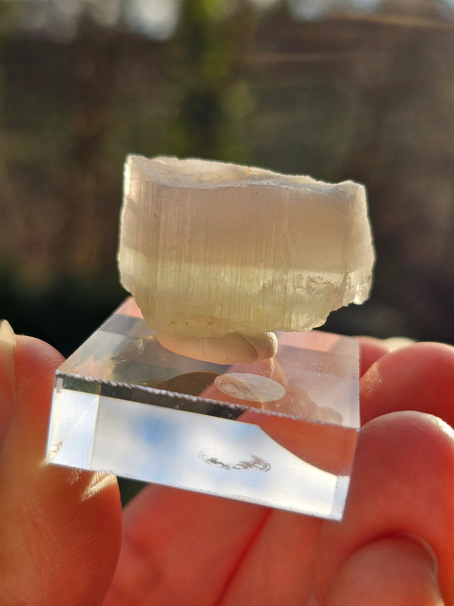 Aigue-marine et Morganite F