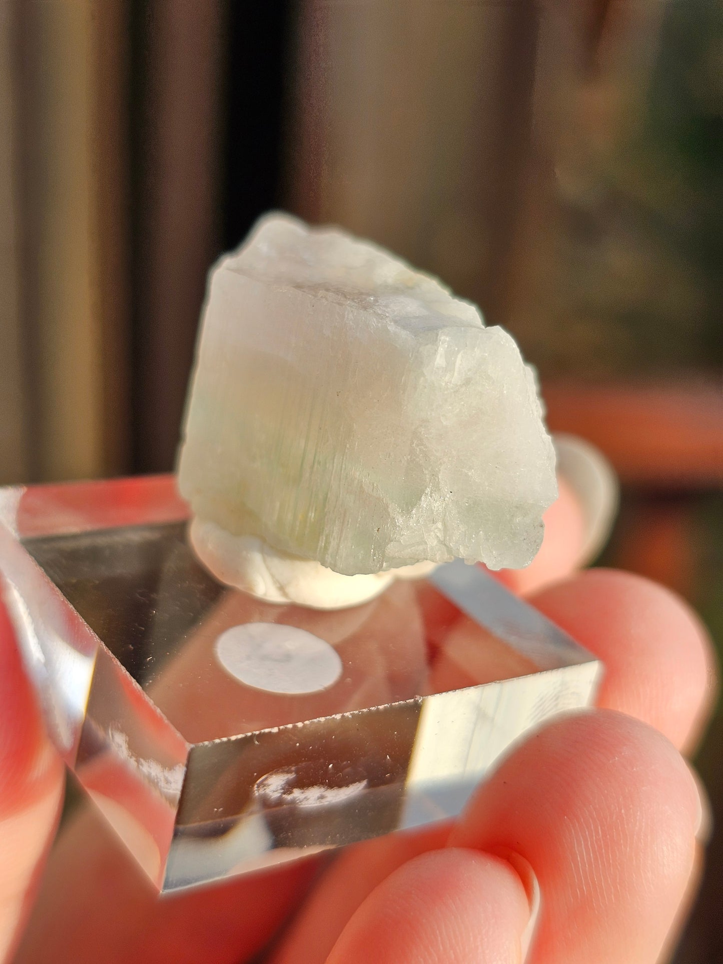 Aigue-marine et Morganite F
