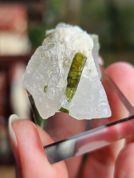 Tourmaline verte sur Quartz E