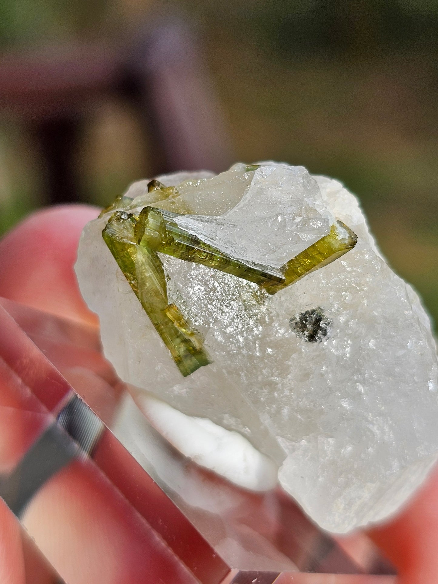 Tourmaline verte sur Quartz E