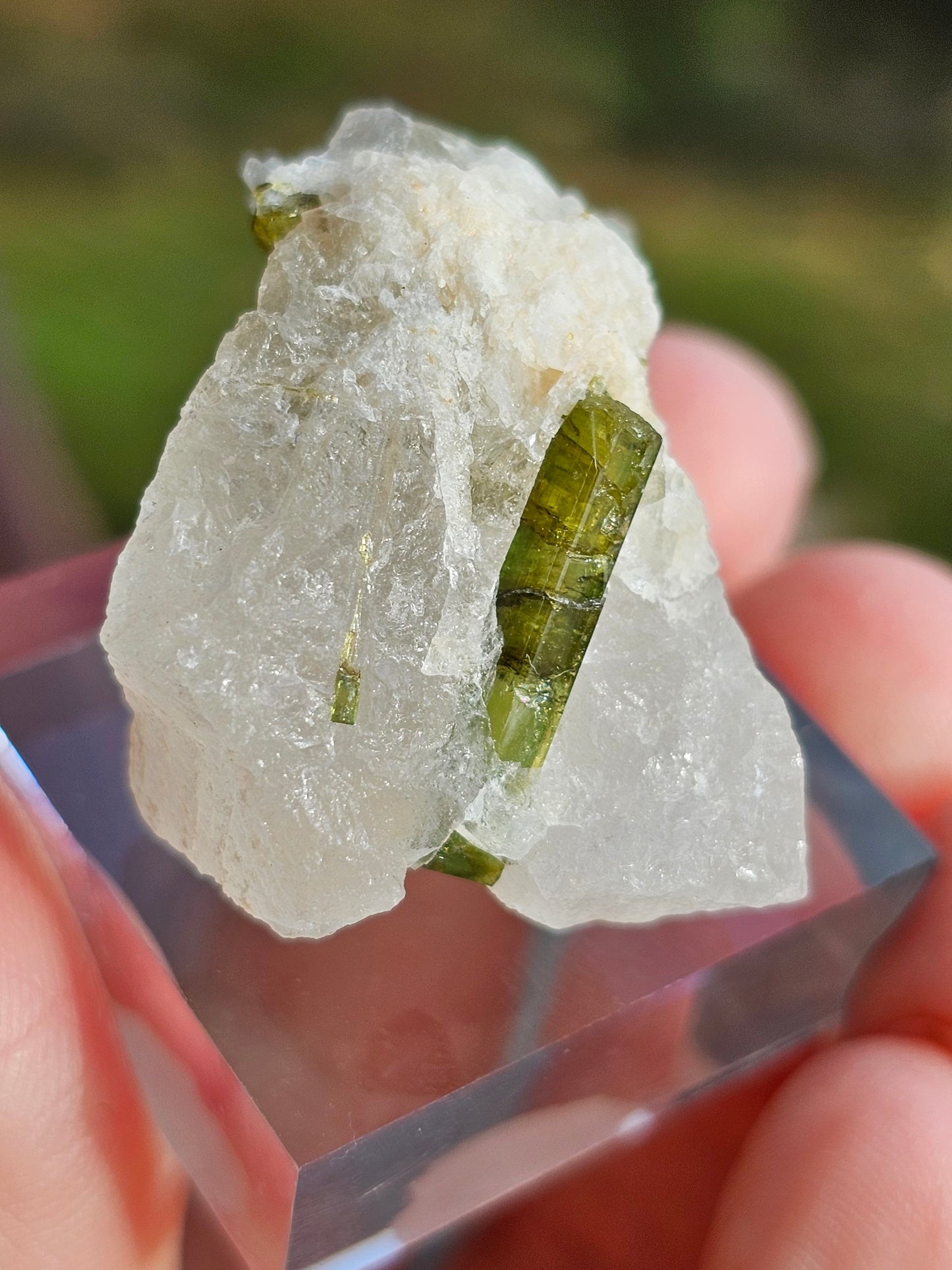 Tourmaline verte sur Quartz E