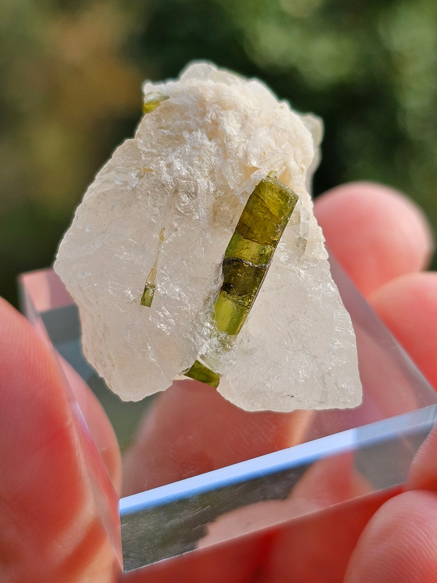 Tourmaline verte sur Quartz E