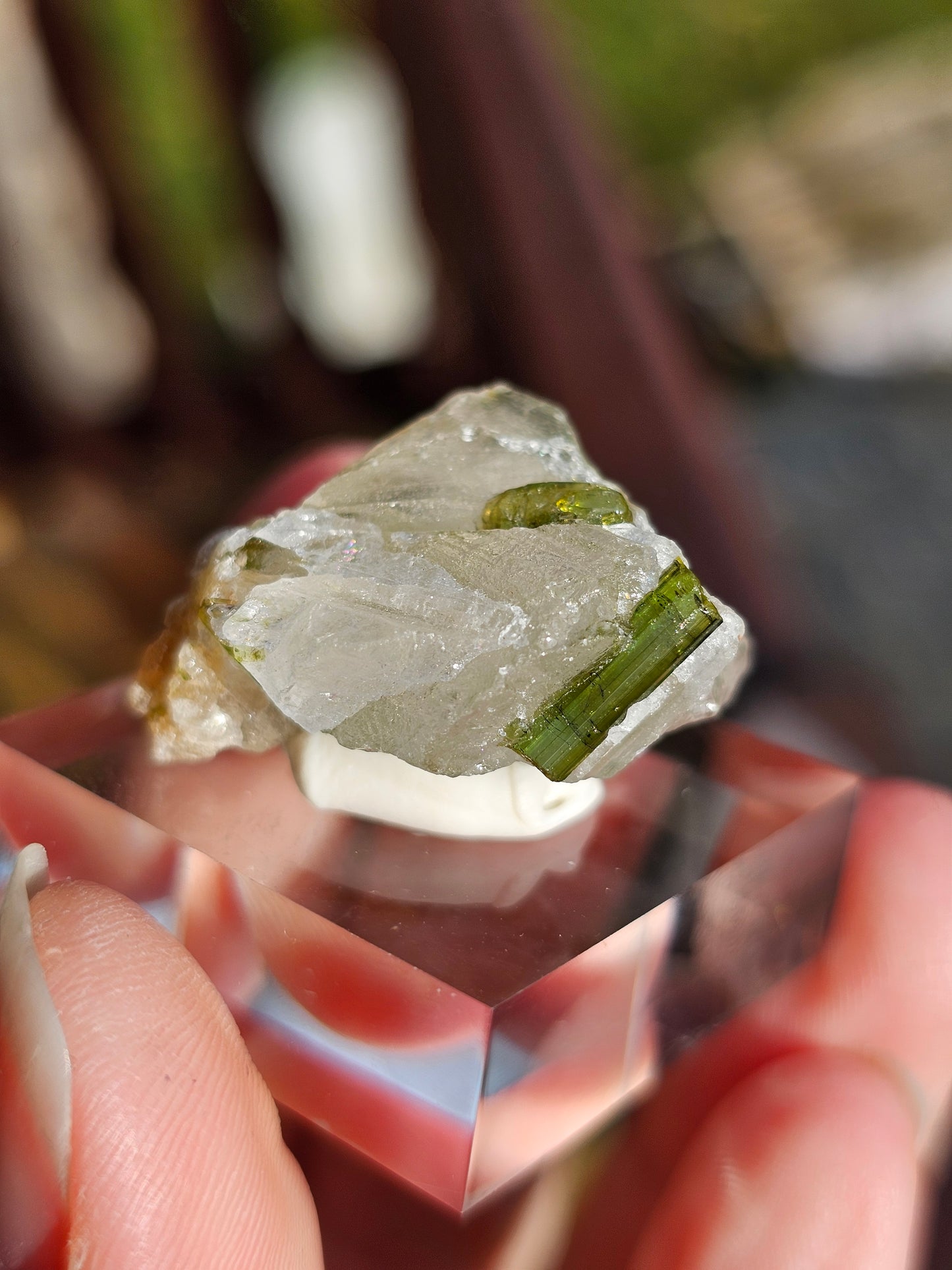 Tourmaline verte sur Quartz G