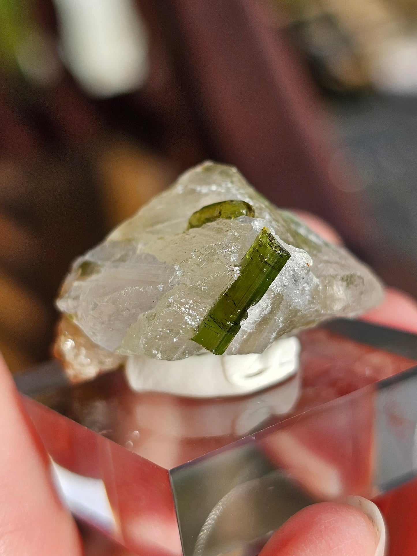 Tourmaline verte sur Quartz G