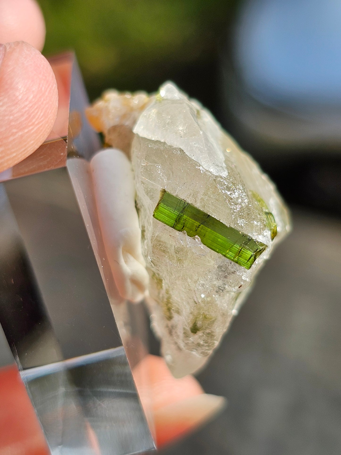 Tourmaline verte sur Quartz G