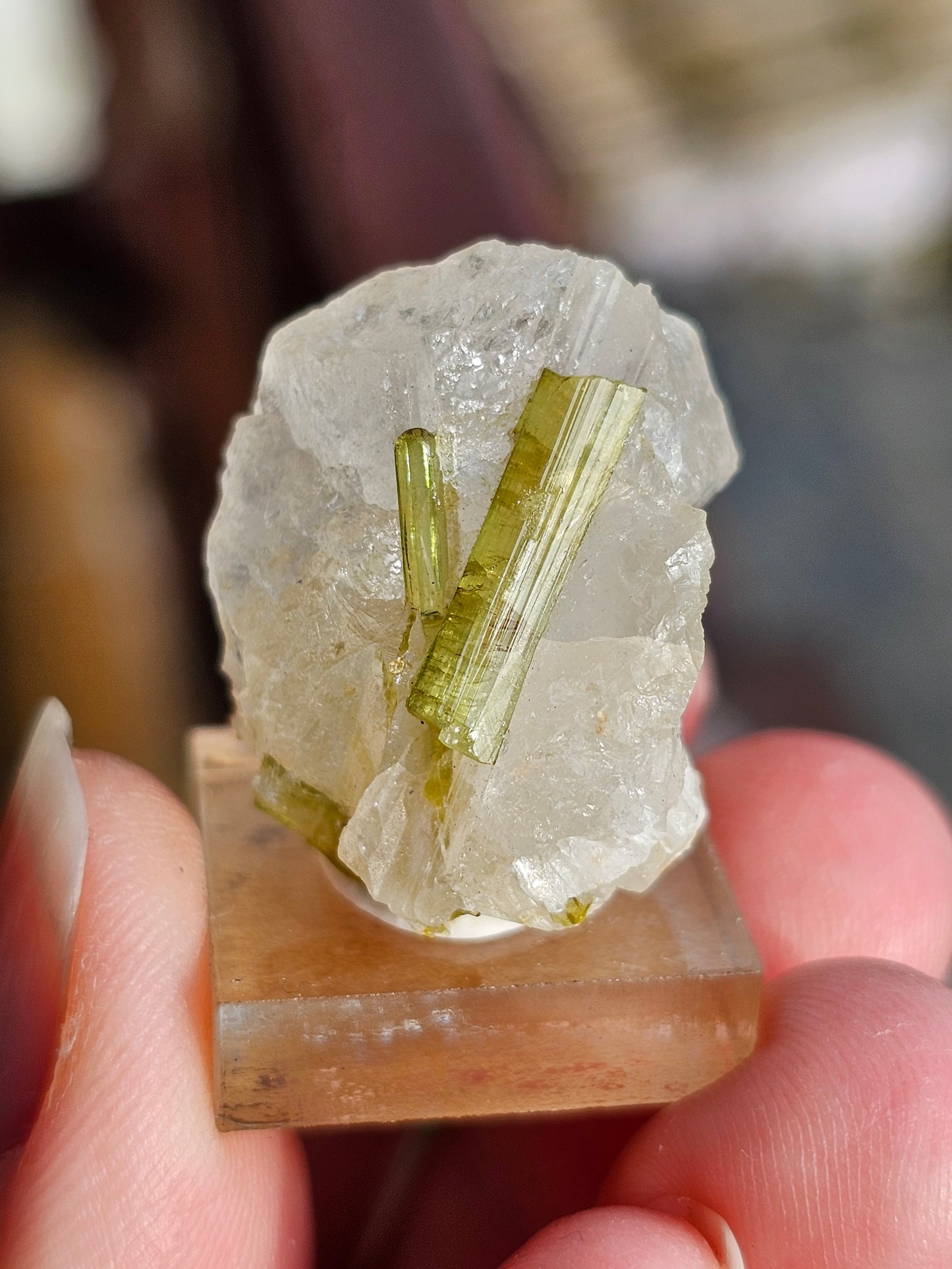 Tourmaline verte sur Quartz I