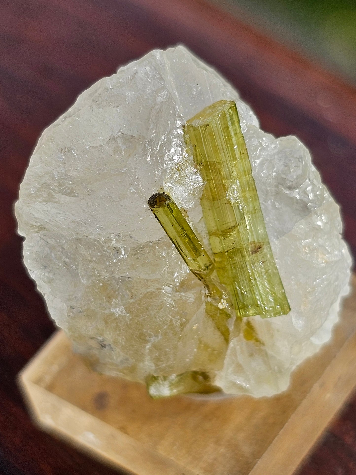 Tourmaline verte sur Quartz I