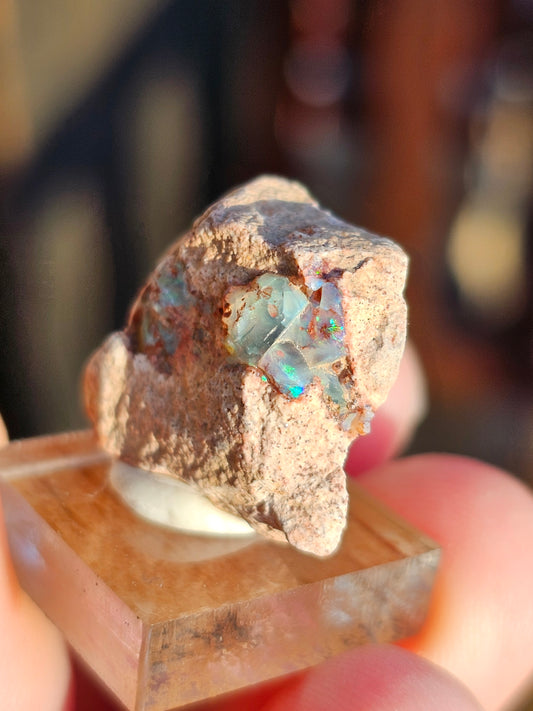 Opale de feu du Mexique OF1