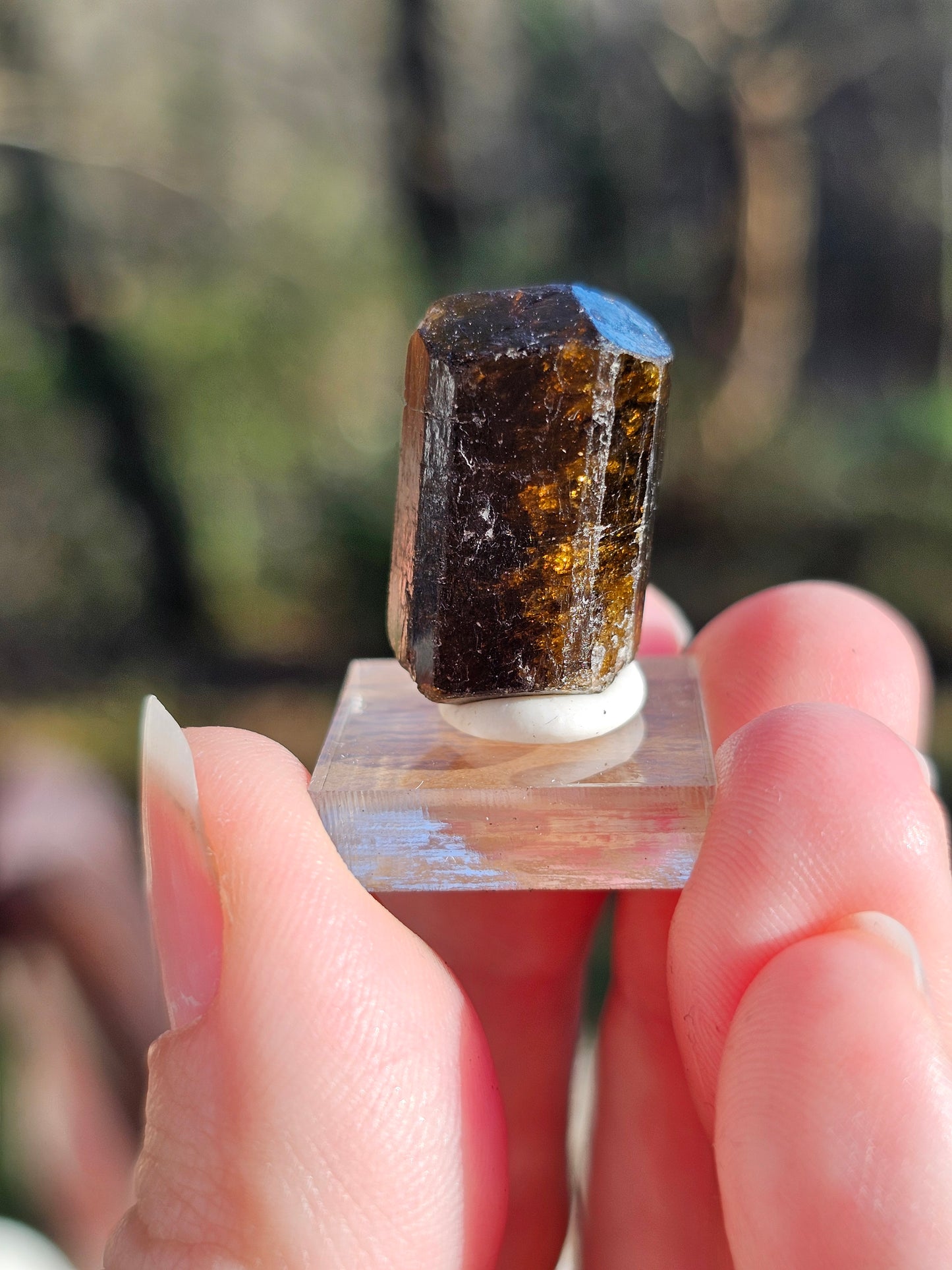 Dravite brute (tourmaline brune) n°3