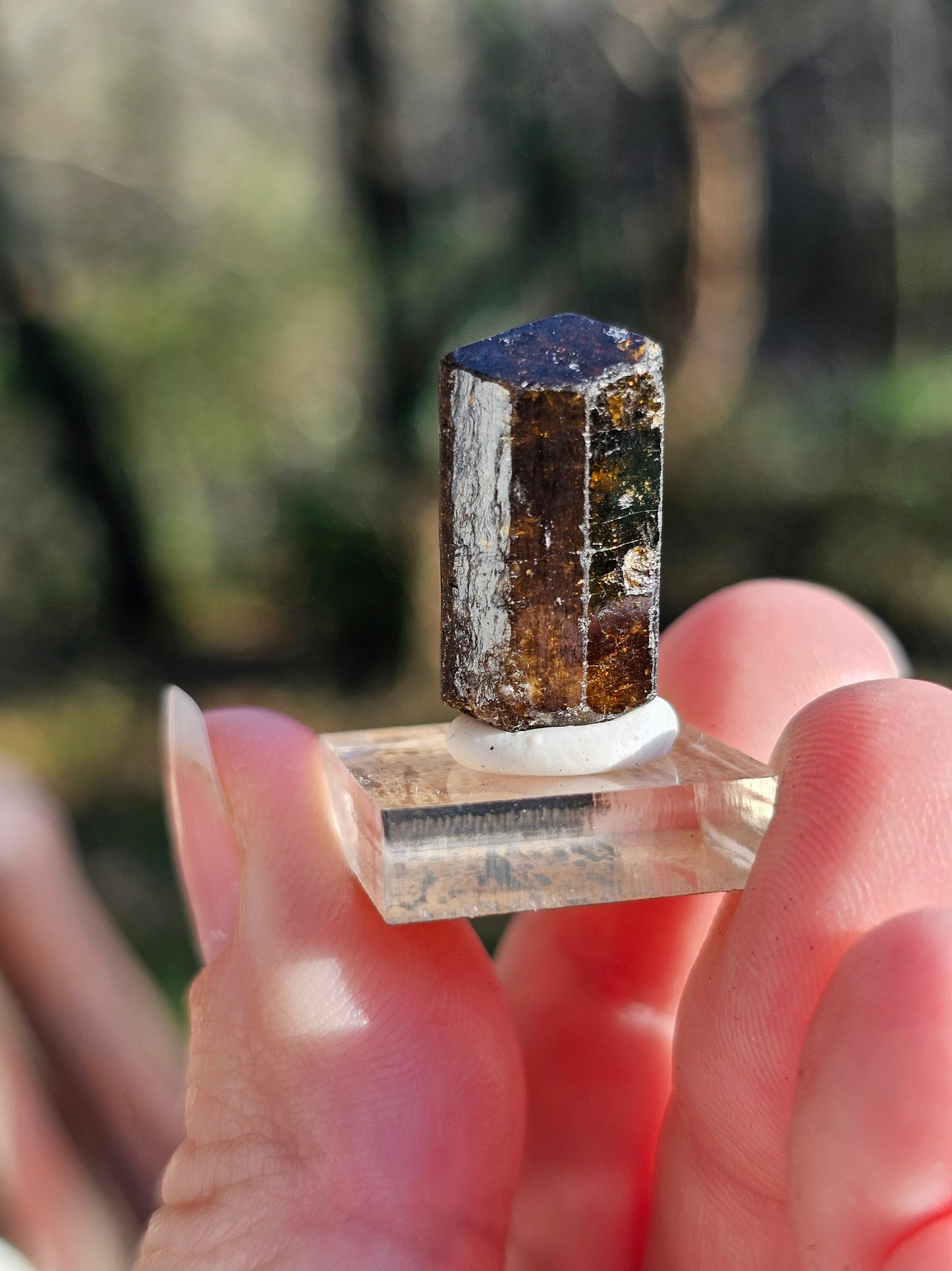 Dravite brute (tourmaline brune) n°3
