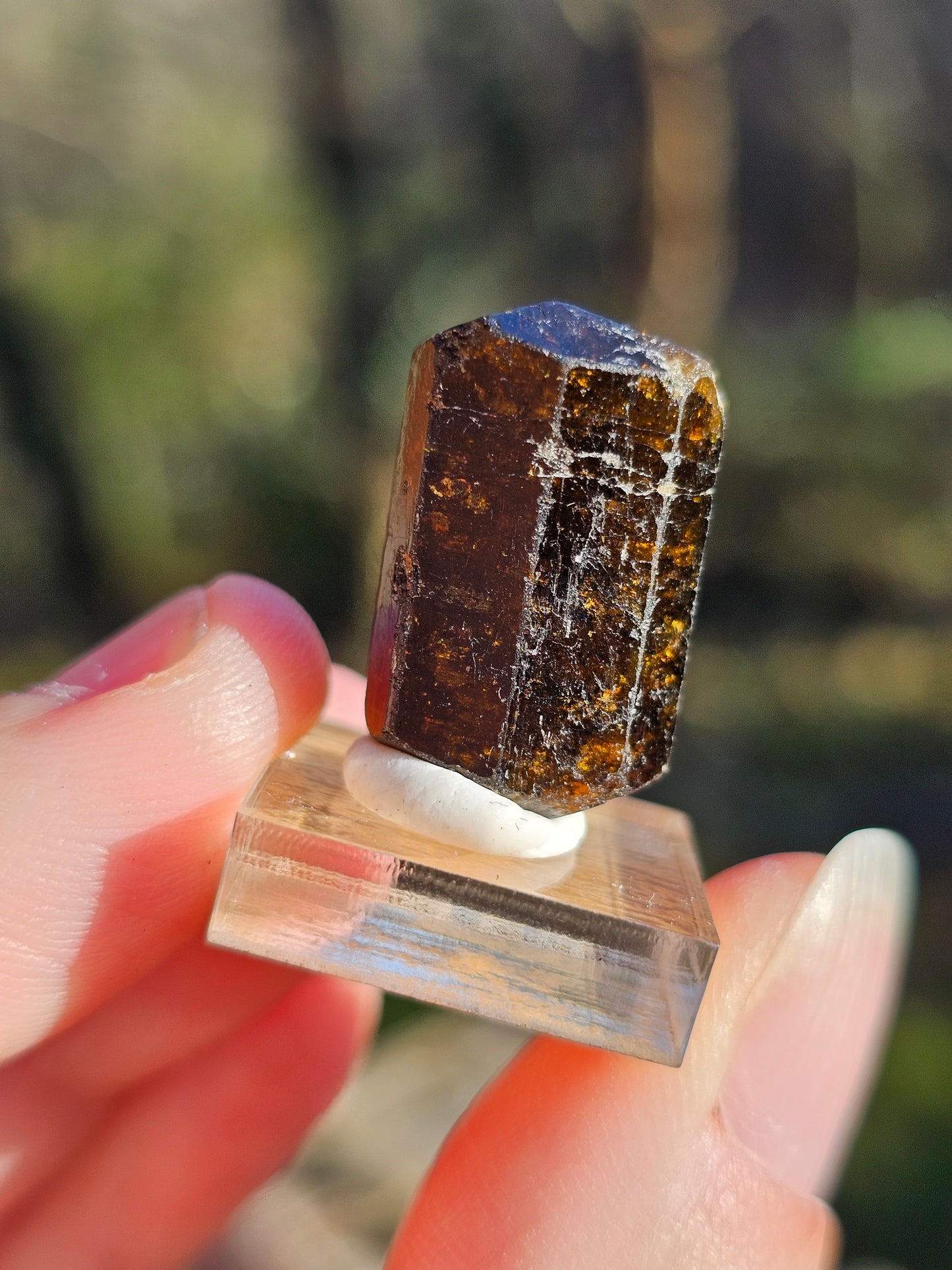 Dravite brute (tourmaline brune) n°3