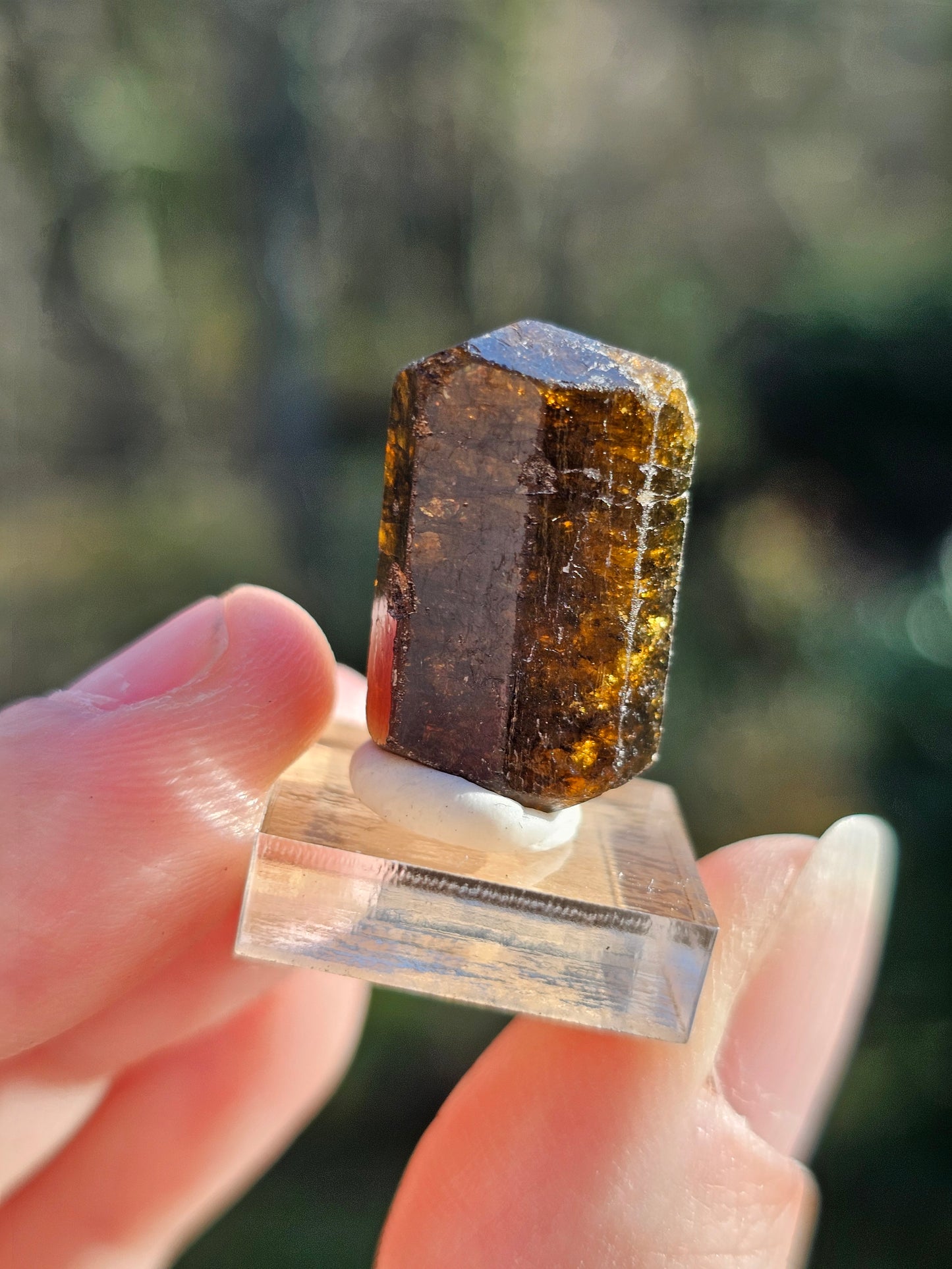 Dravite brute (tourmaline brune) n°3