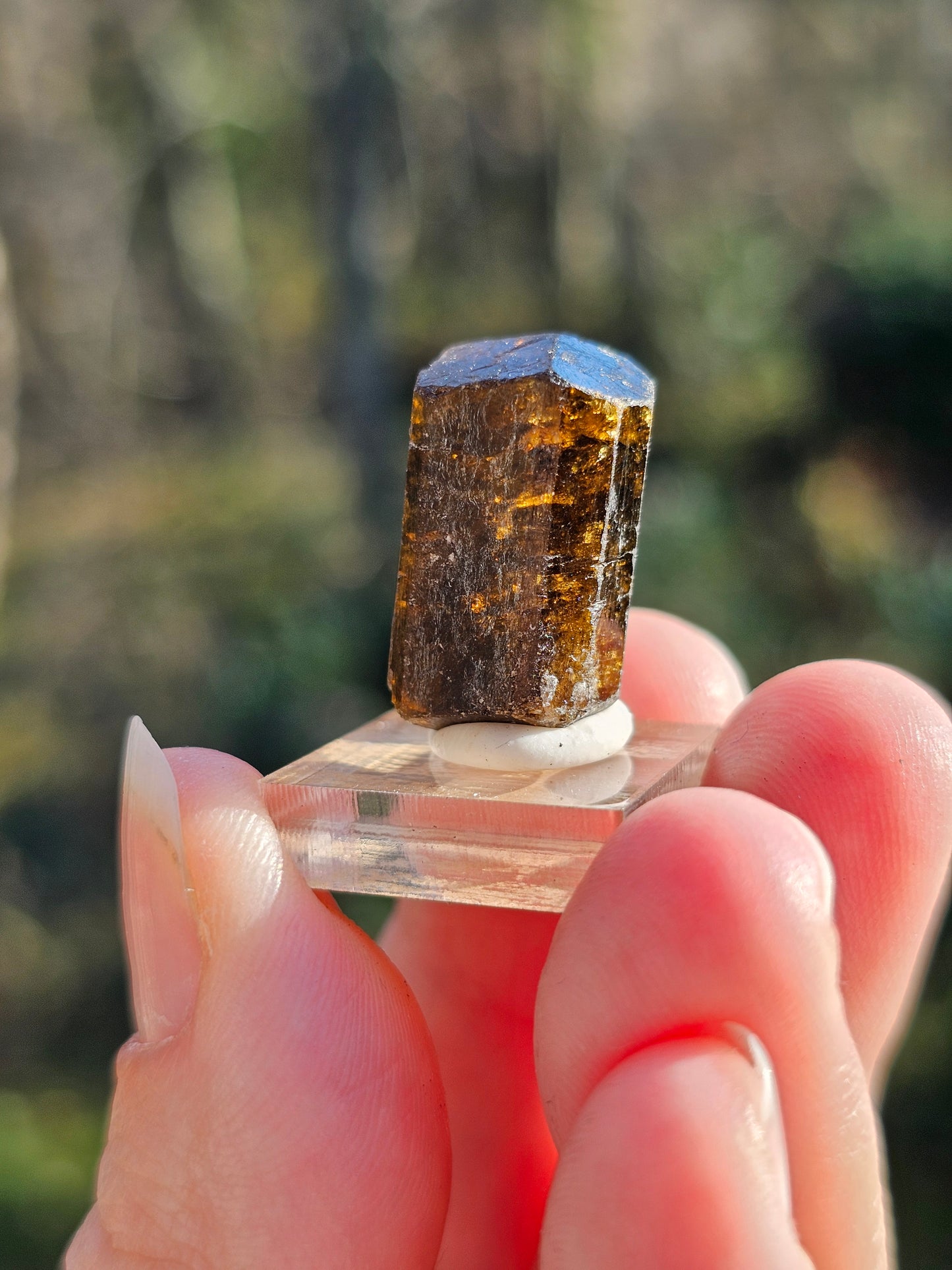 Dravite brute (tourmaline brune) n°3