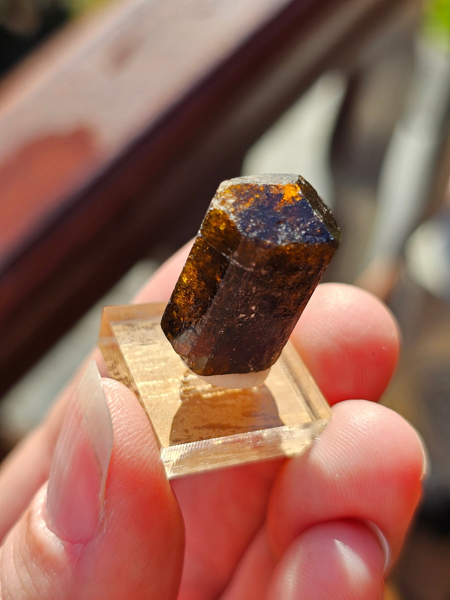 Dravite brute (tourmaline brune) n°3
