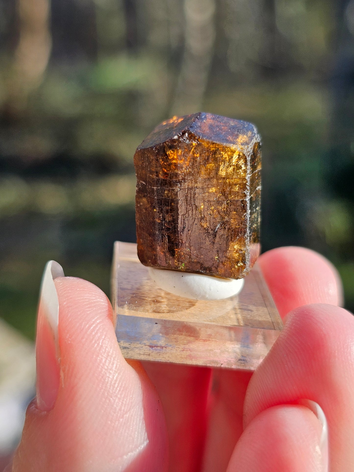 Dravite brute (tourmaline brune) n°4