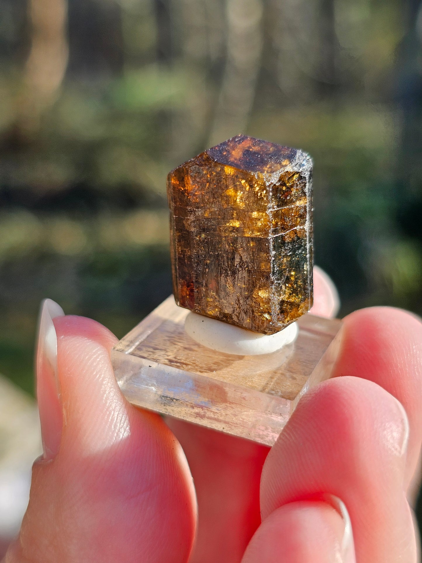 Dravite brute (tourmaline brune) n°4