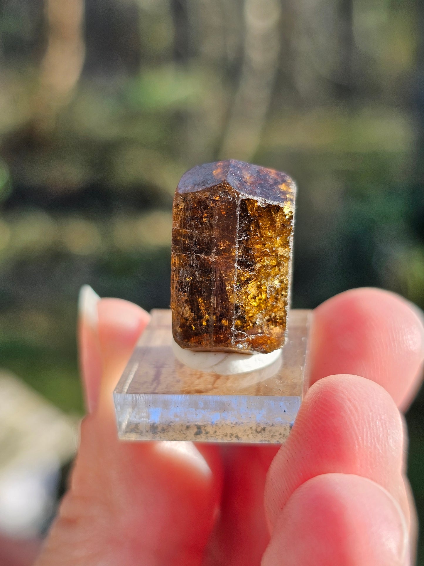Dravite brute (tourmaline brune) n°4