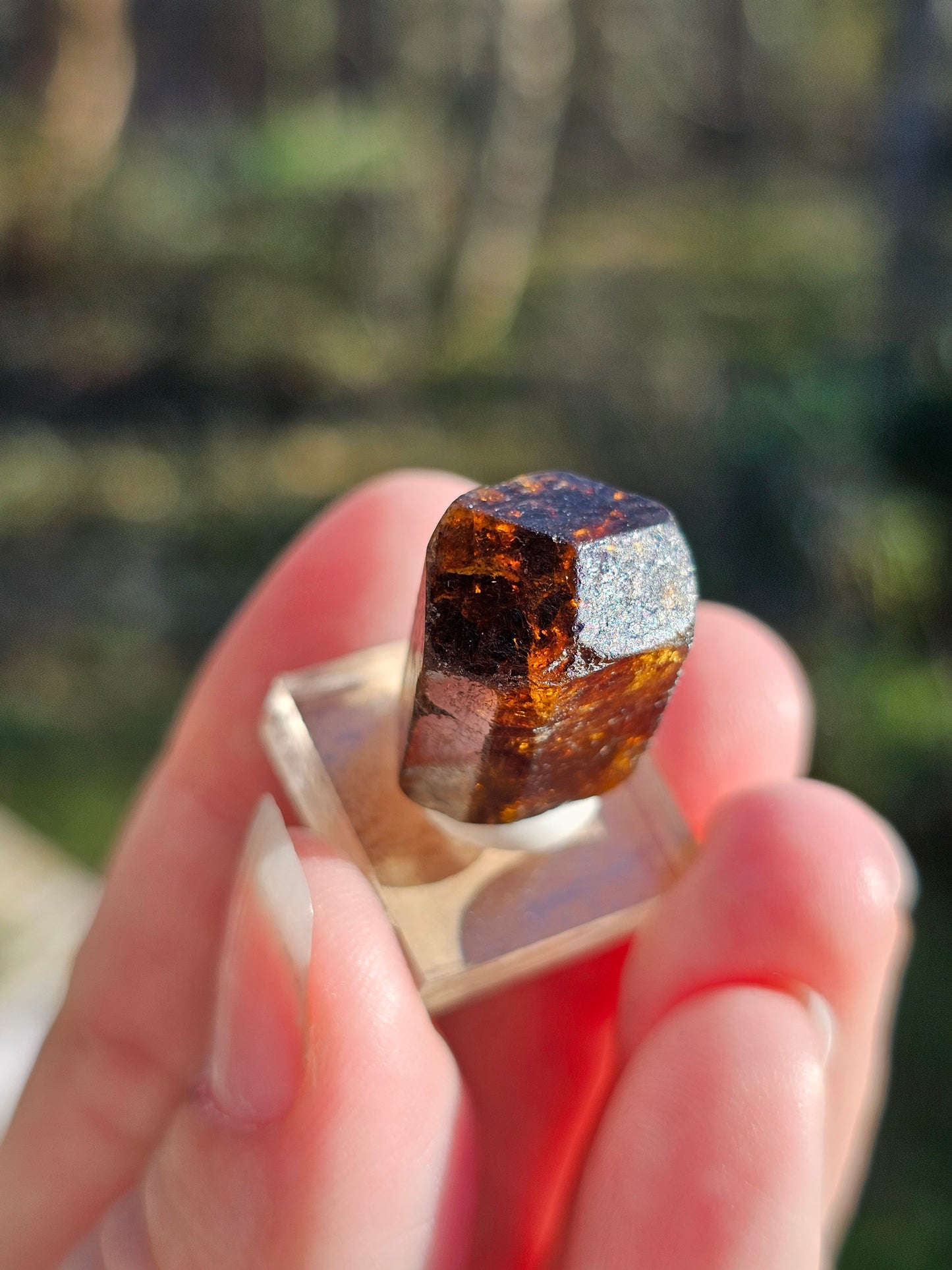 Dravite brute (tourmaline brune) n°4