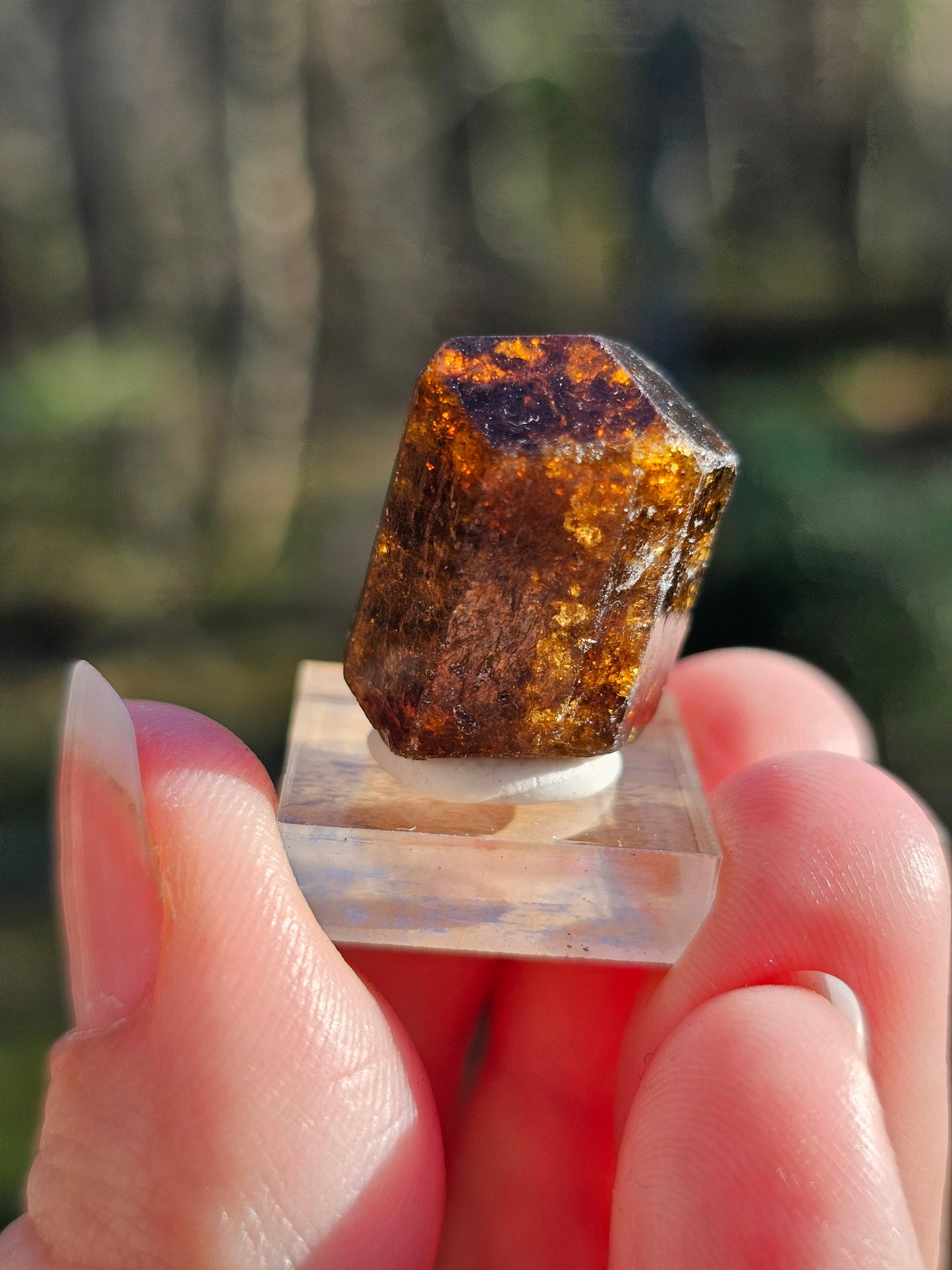 Dravite brute (tourmaline brune) n°4