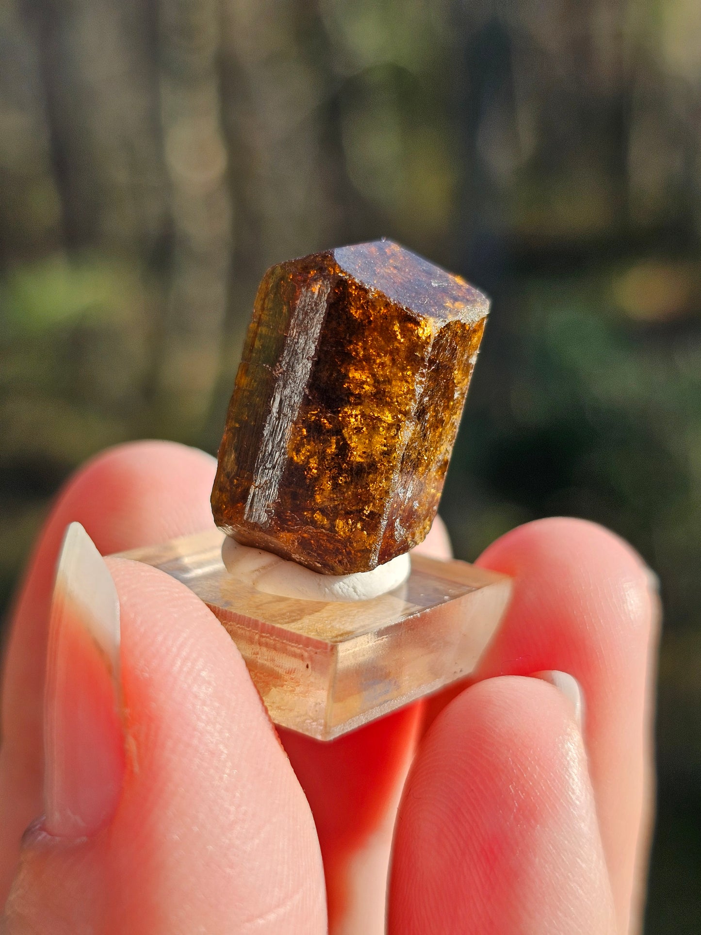 Dravite brute (tourmaline brune) n°4
