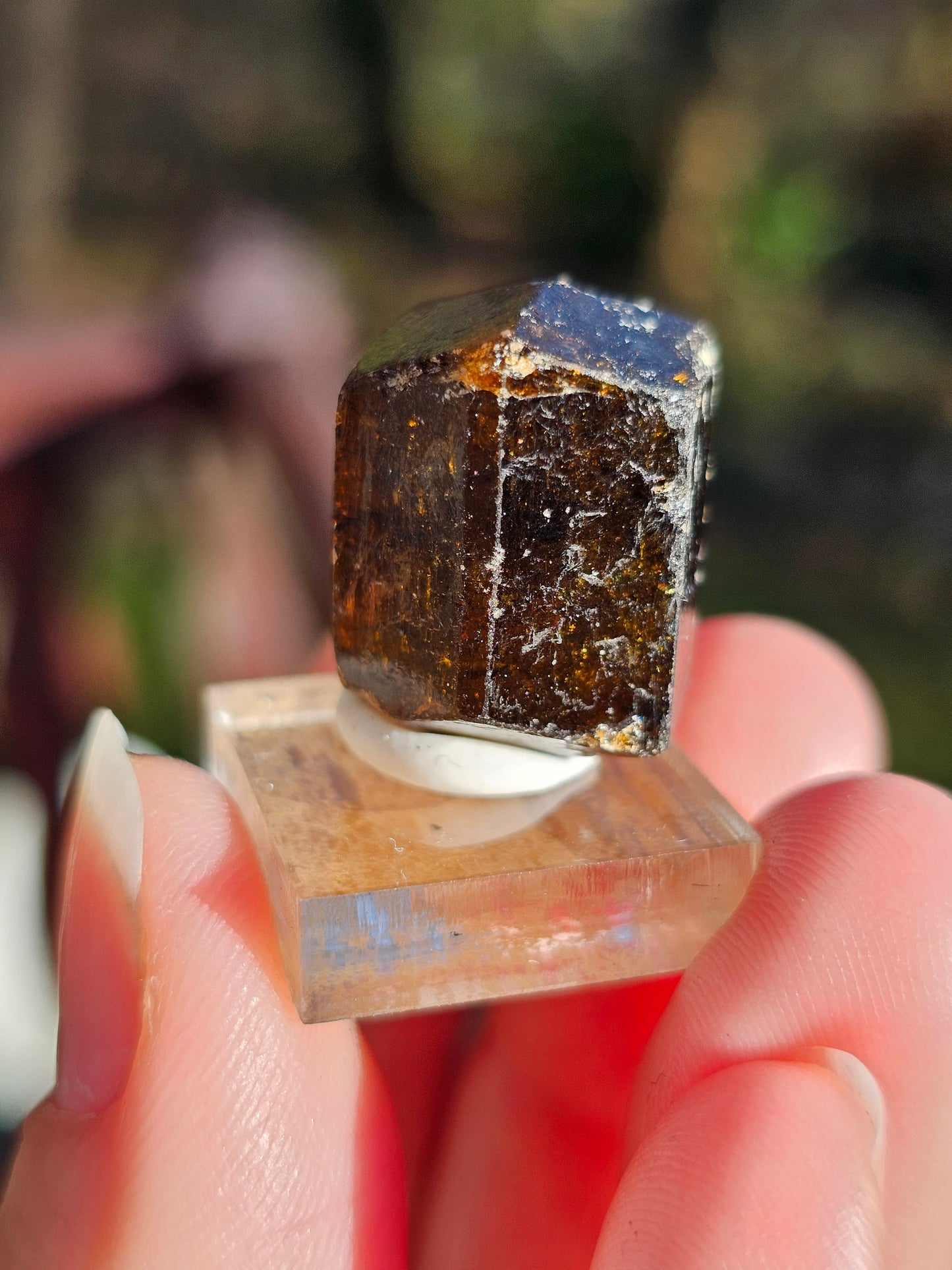 Dravite brute (tourmaline brune) n°7