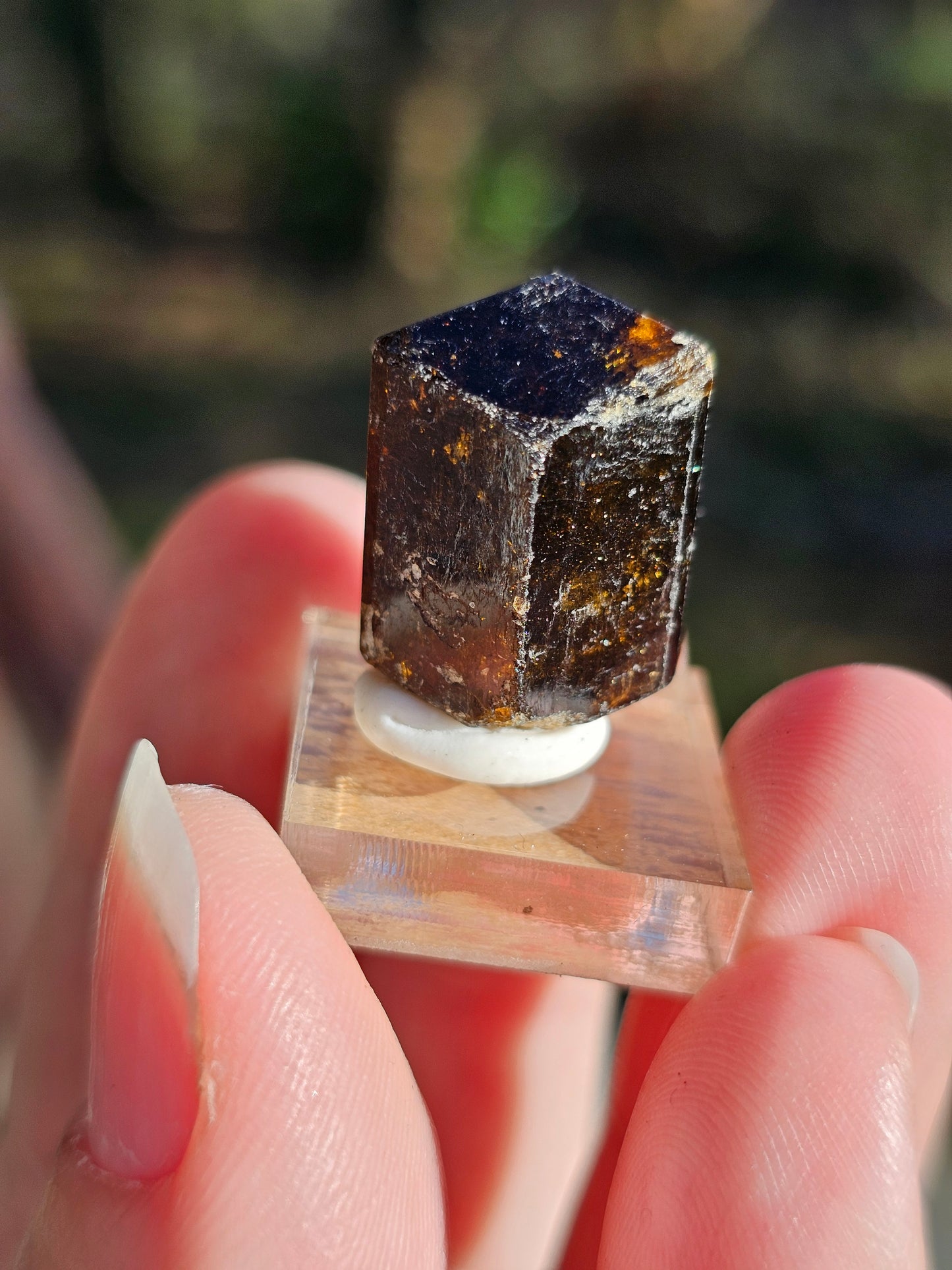 Dravite brute (tourmaline brune) n°7