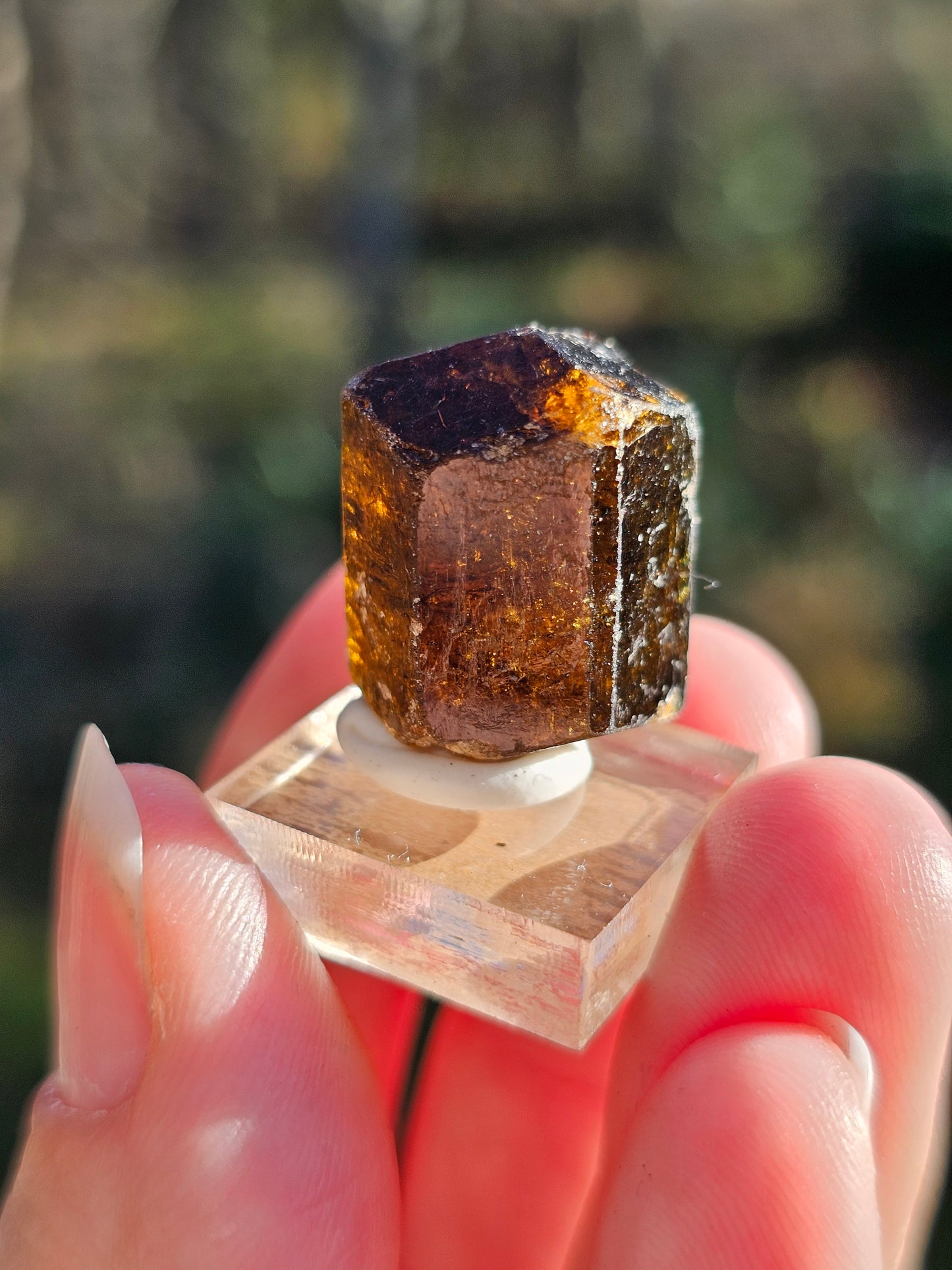 Dravite brute (tourmaline brune) n°7