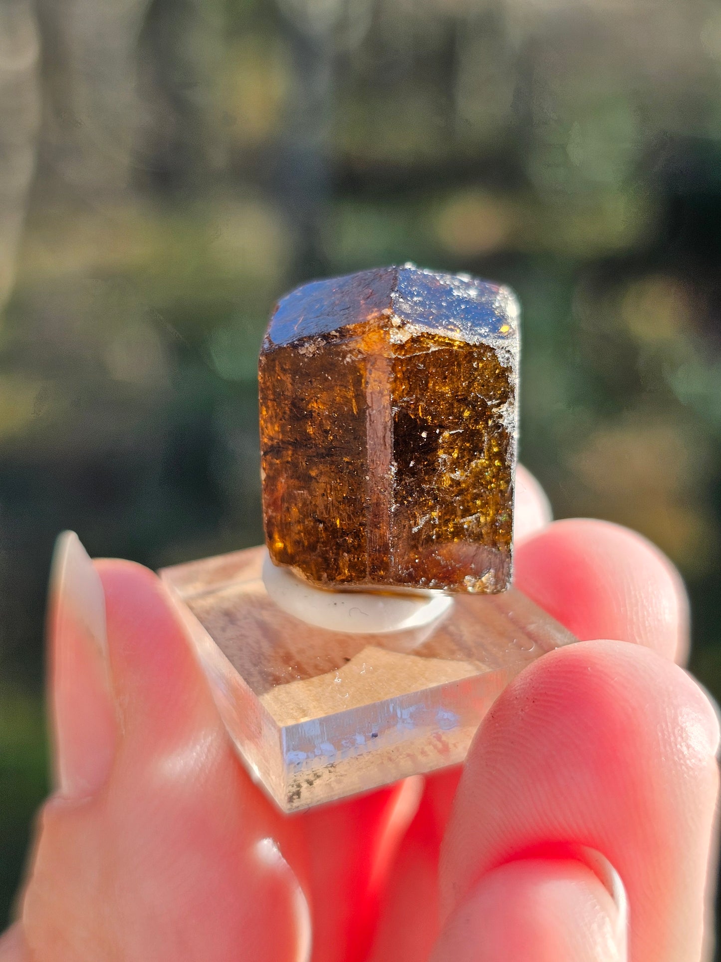 Dravite brute (tourmaline brune) n°7
