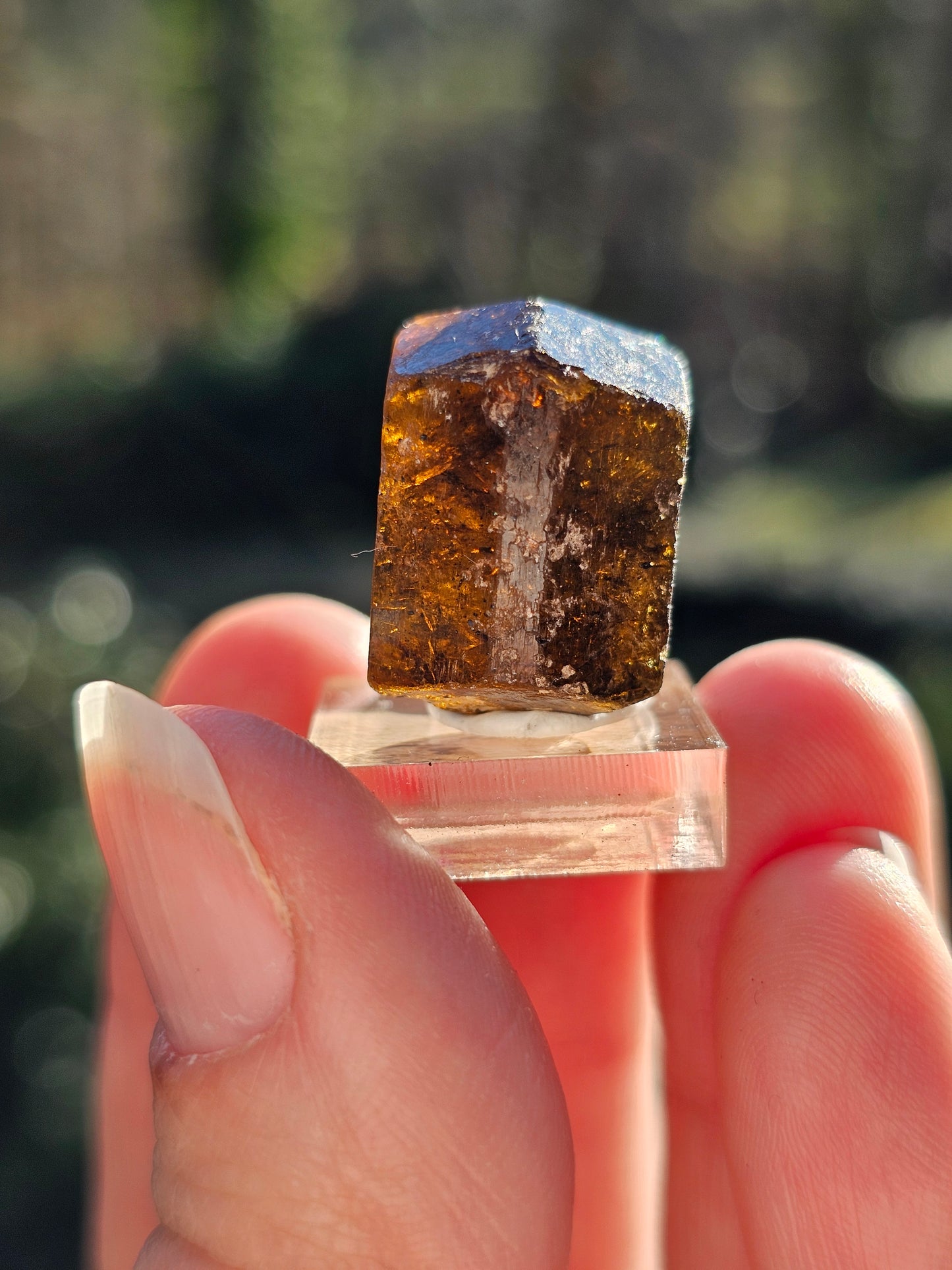 Dravite brute (tourmaline brune) n°7