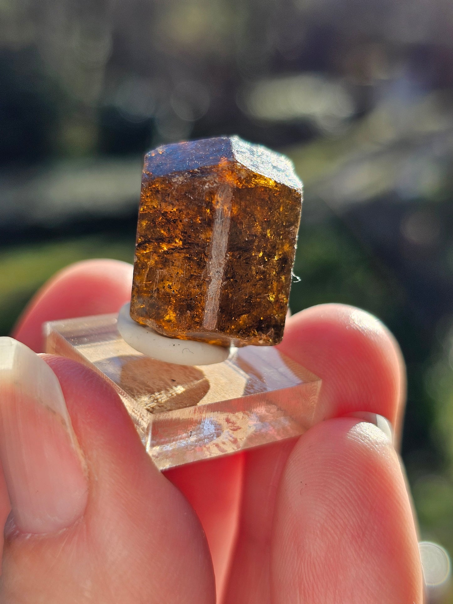 Dravite brute (tourmaline brune) n°7