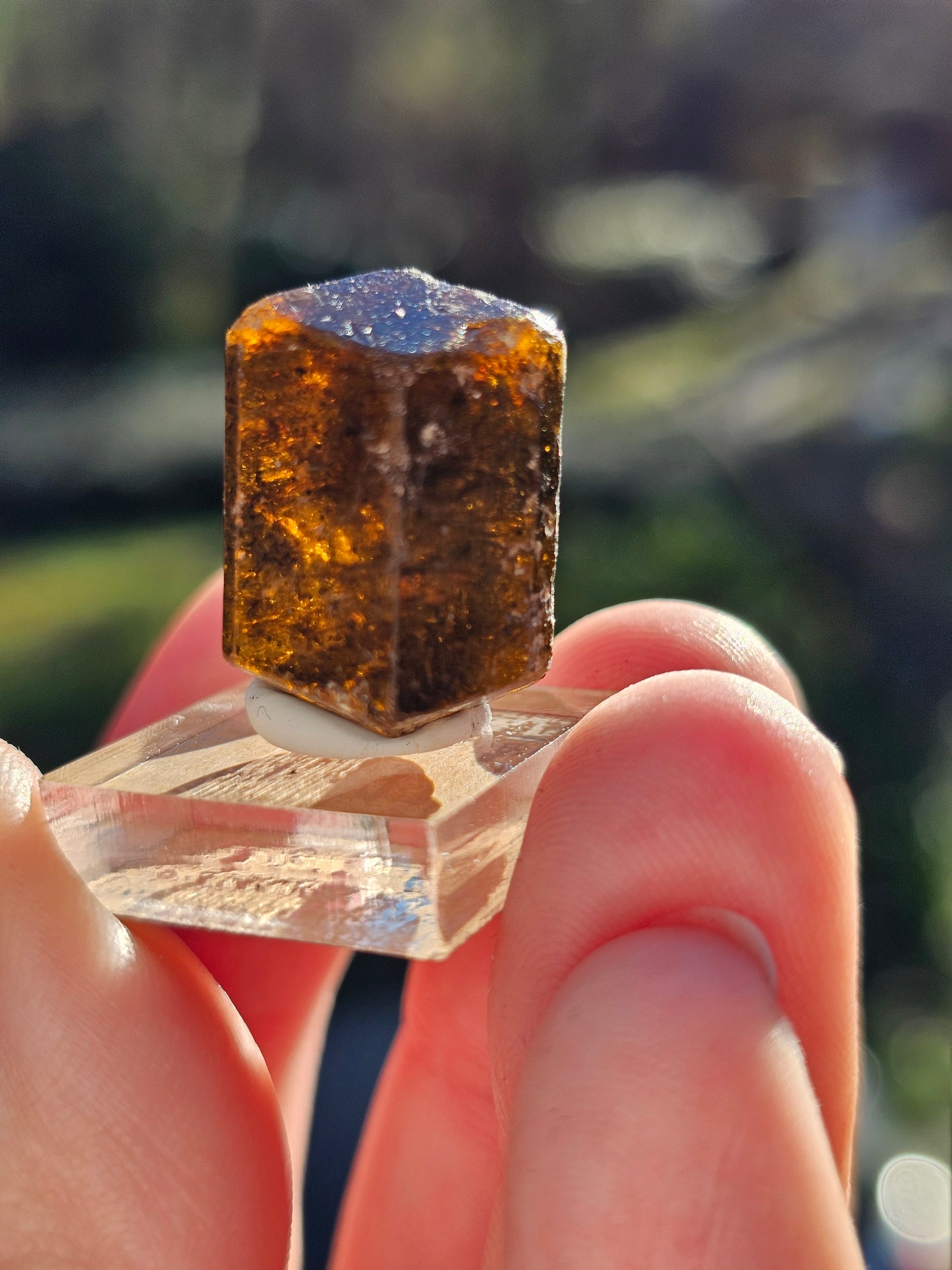 Dravite brute (tourmaline brune) n°7