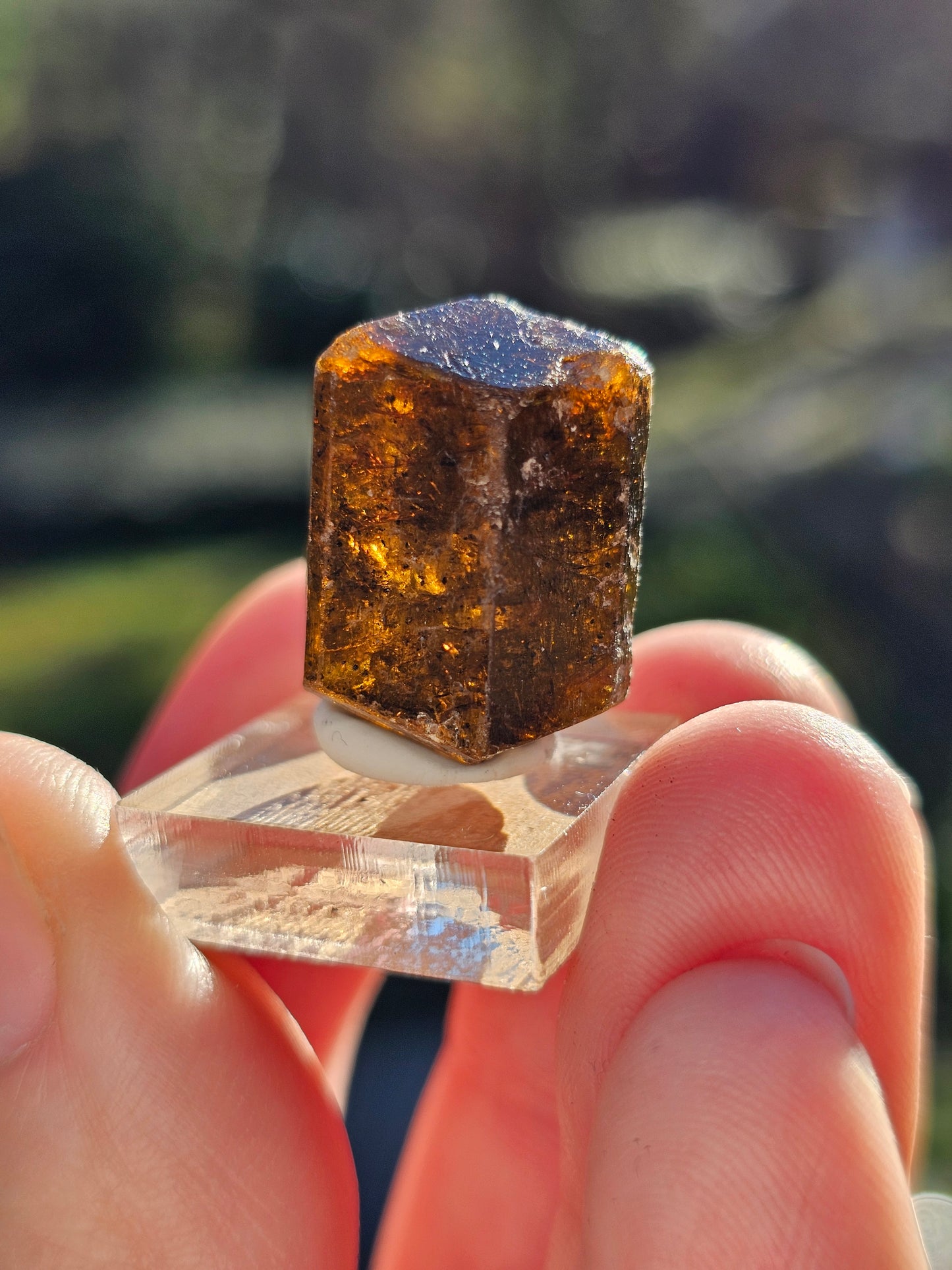Dravite brute (tourmaline brune) n°7
