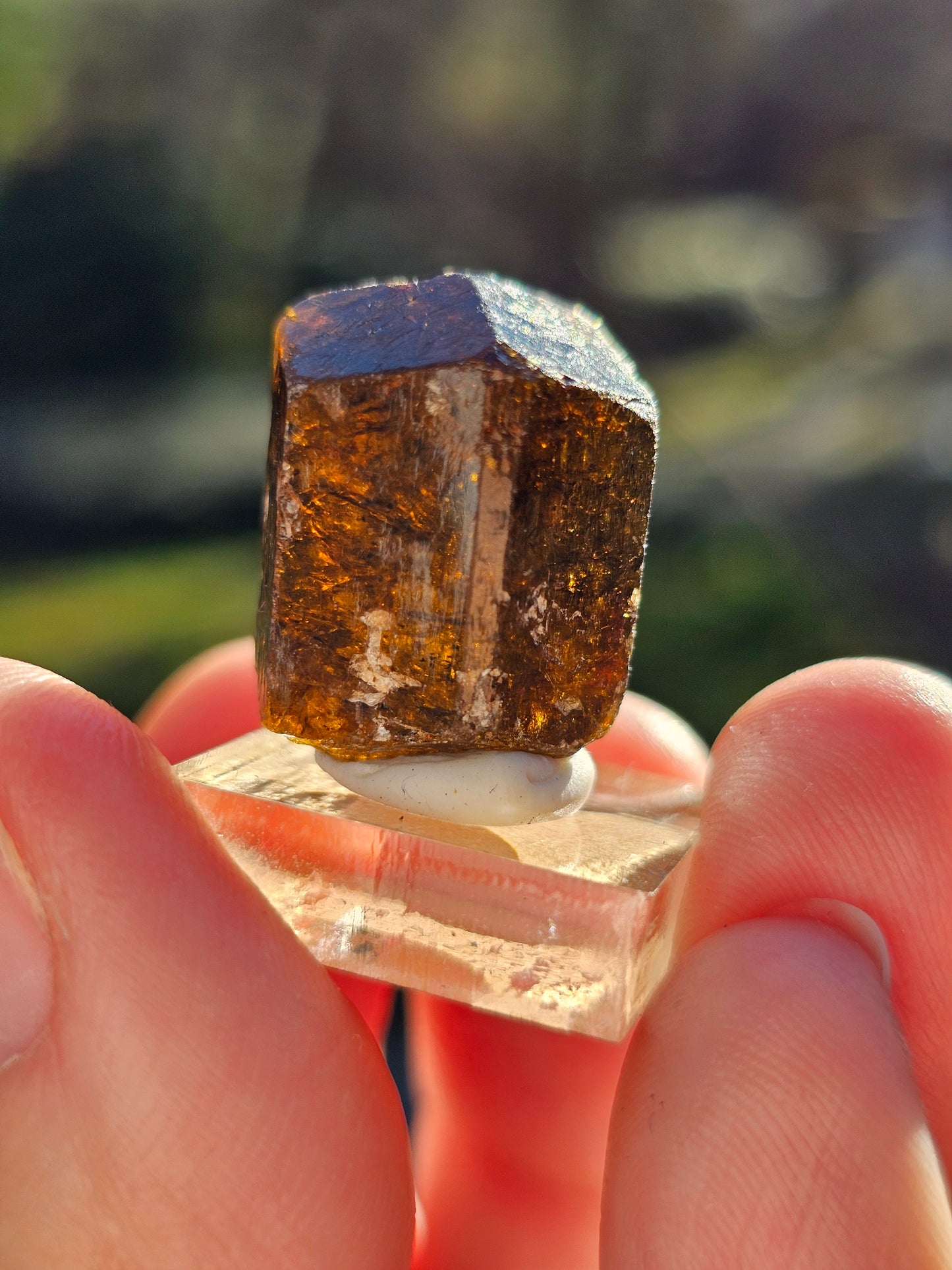 Dravite brute (tourmaline brune) n°7