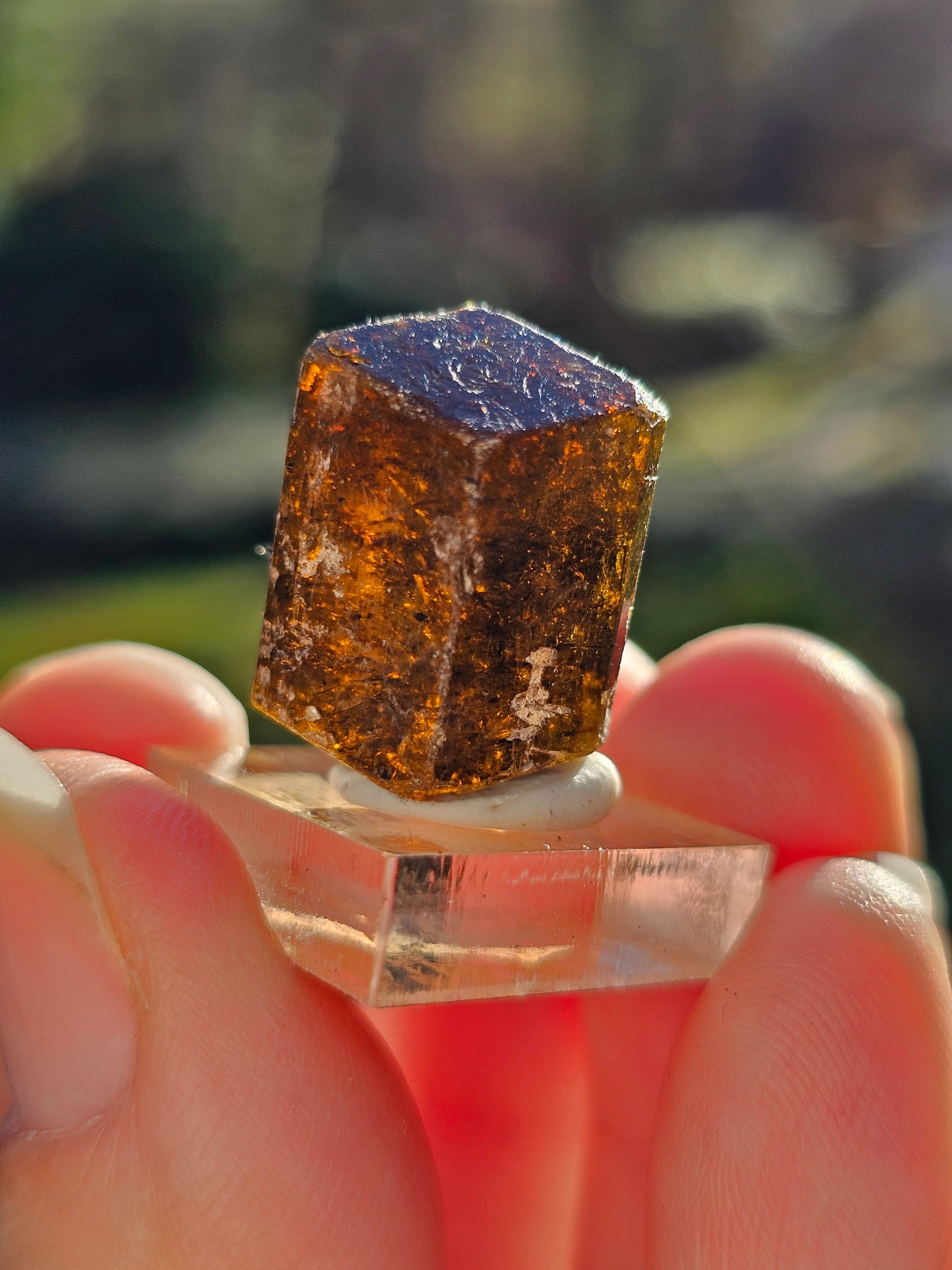 Dravite brute (tourmaline brune) n°7