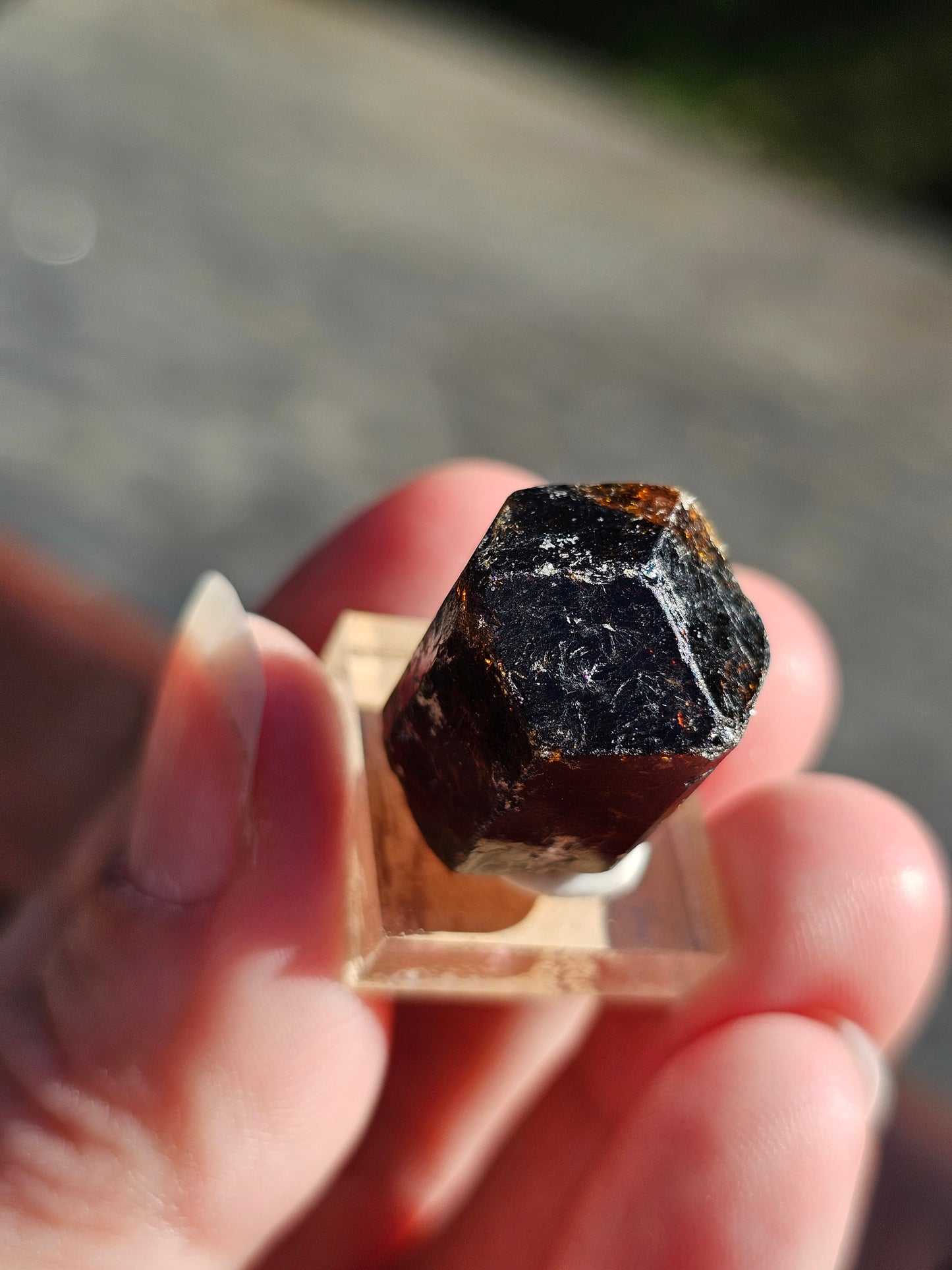 Dravite brute (tourmaline brune) n°7