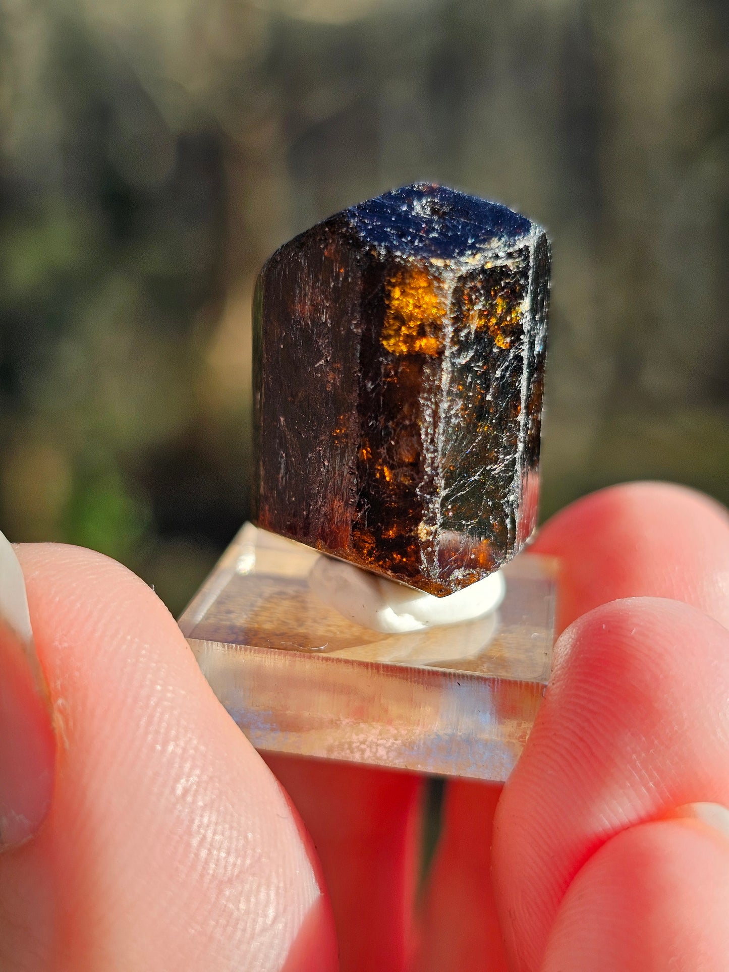 Dravite brute (tourmaline brune) n°8