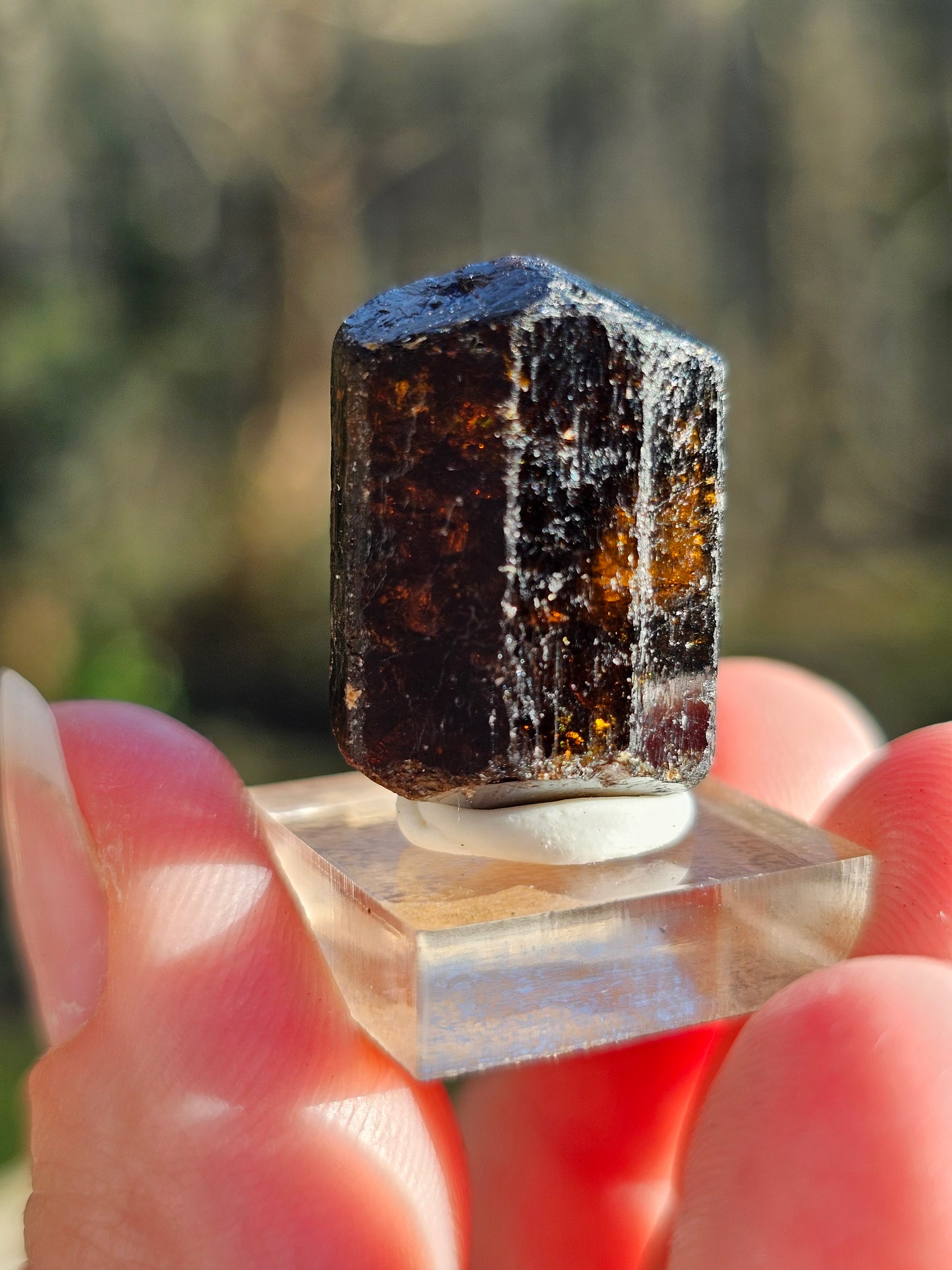 Dravite brute (tourmaline brune) n°8