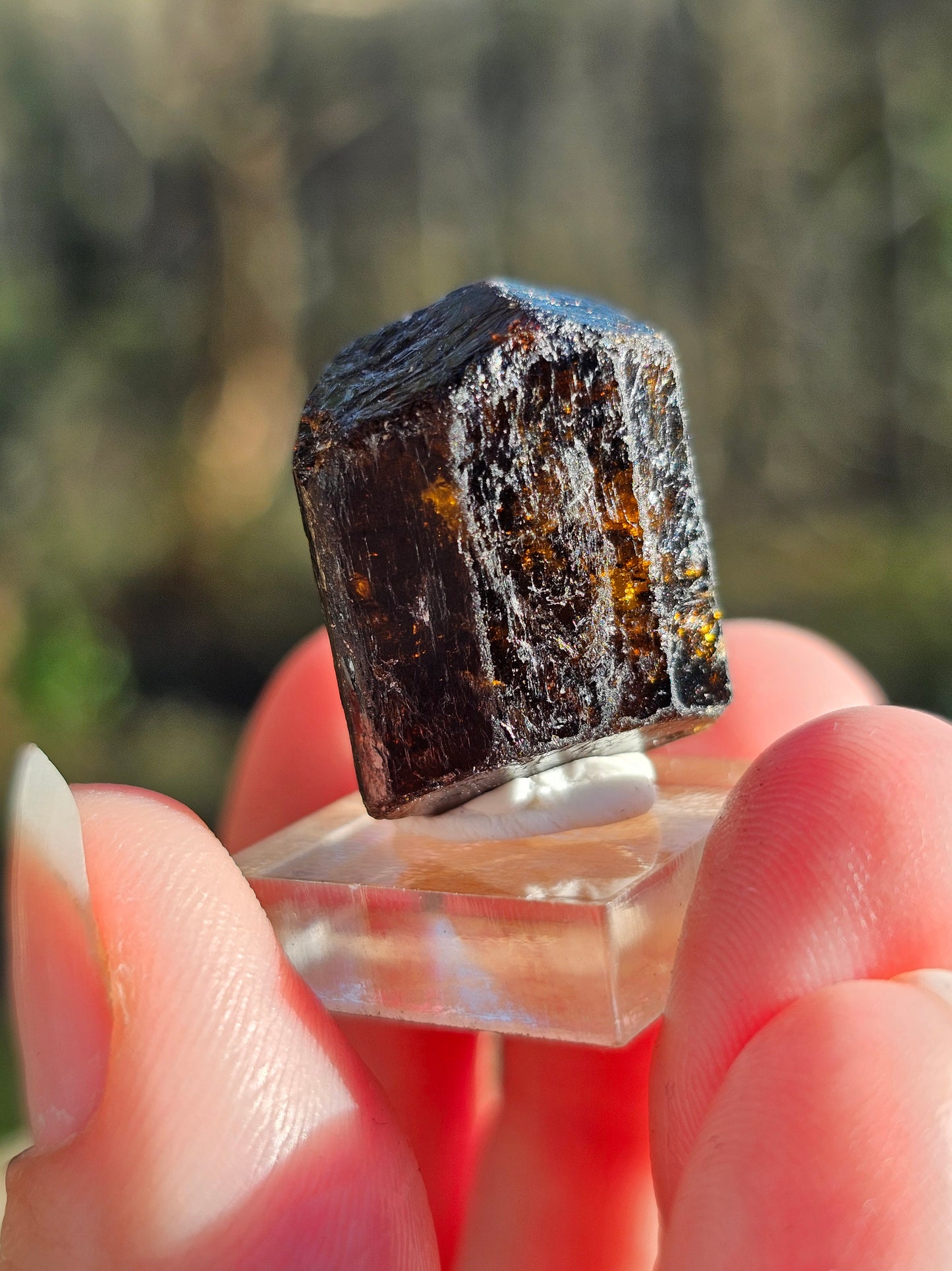 Dravite brute (tourmaline brune) n°8