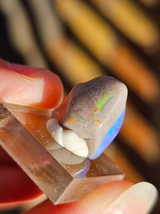 Opale d'Australie OPB