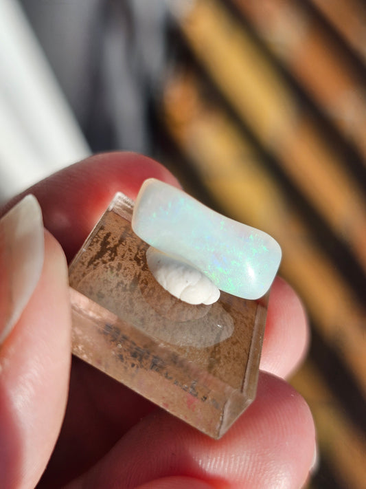 Opale d'Australie OPG