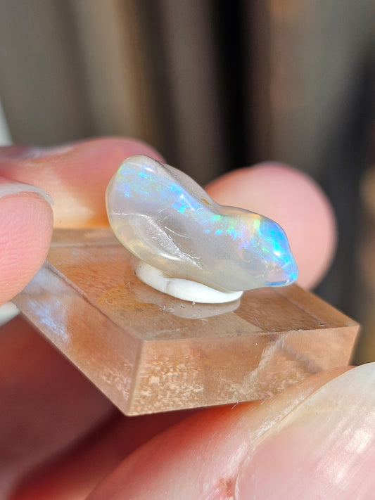 Opale d'Australie OPN