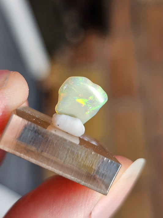 Opale d'Australie OPQ