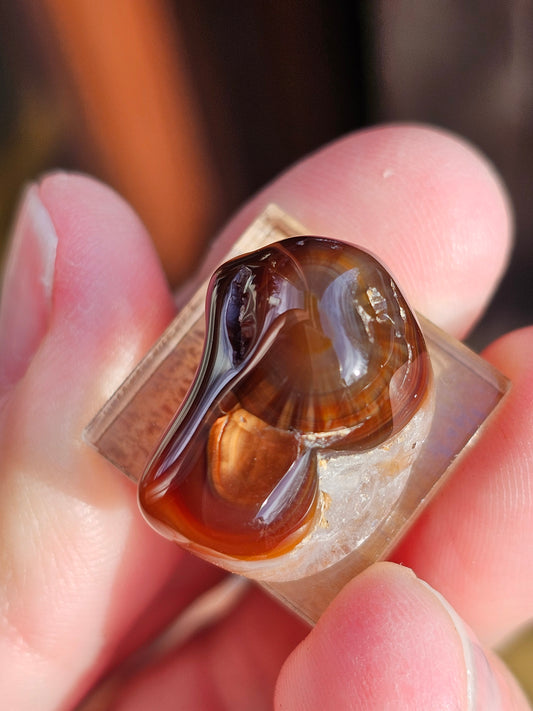 Agate feu n°3