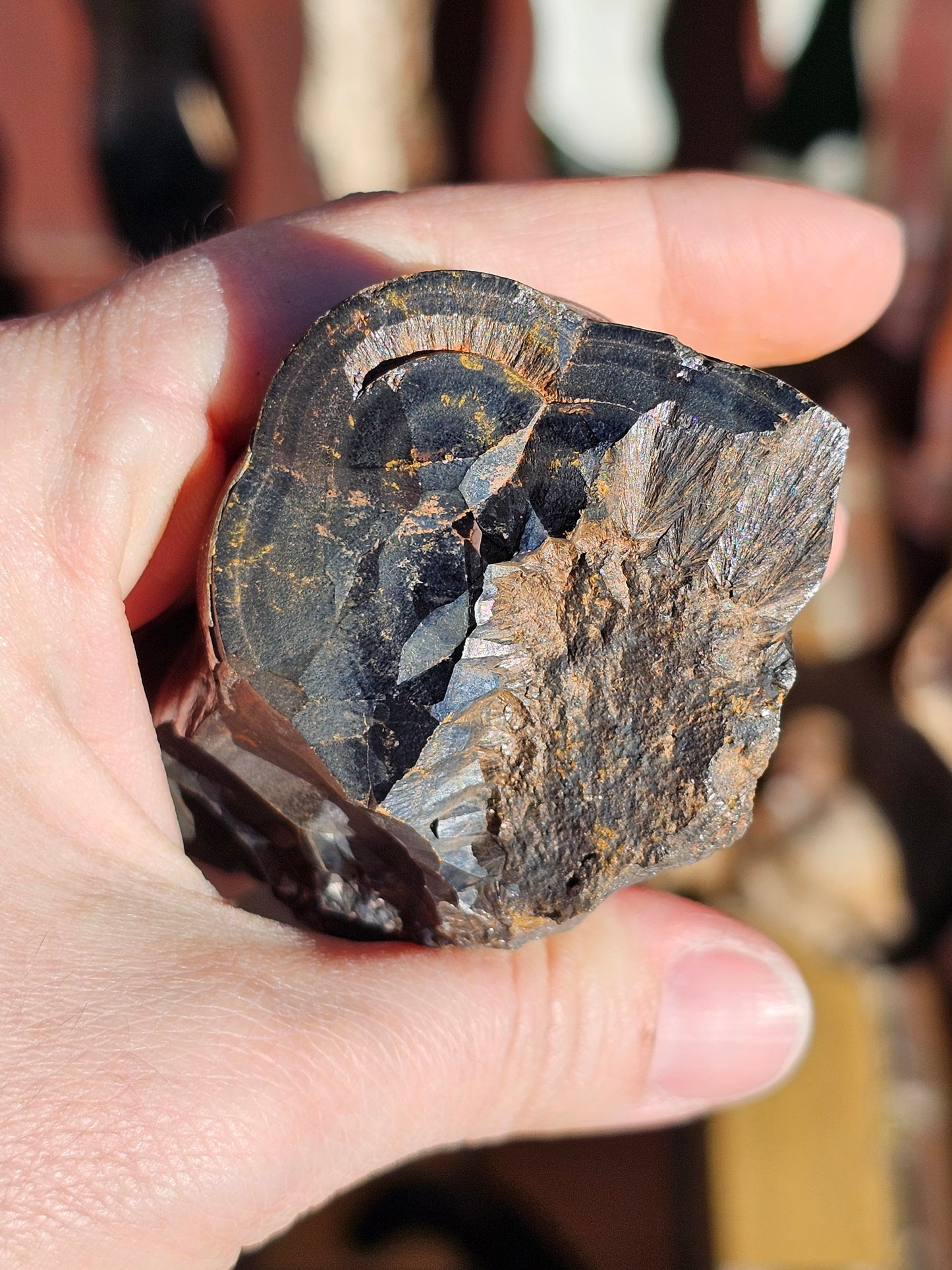 Hématite botryoïdale brute H3